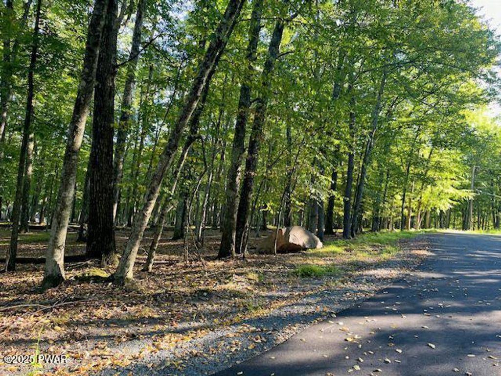 Photo of 57 Oak Court, Lackawaxen, PA 18435 (MLS # PW253007)