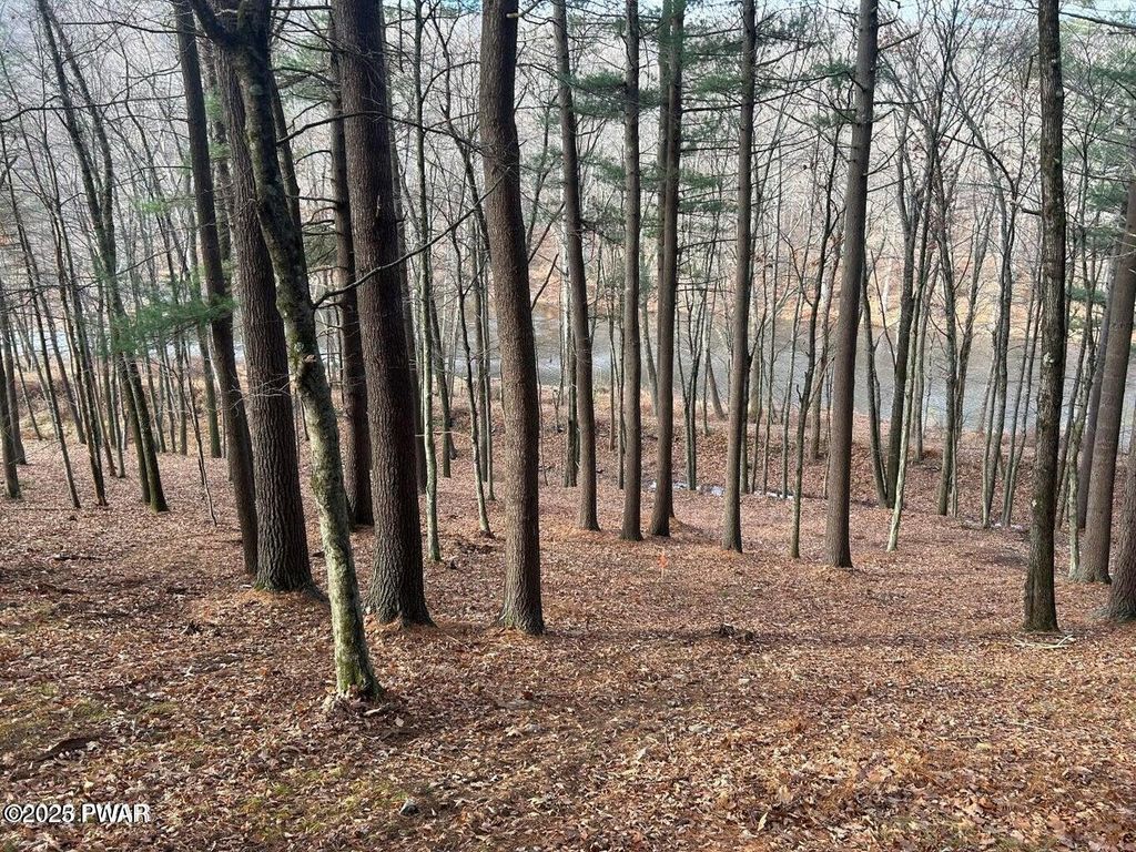 Photo of 23 Circle Drive, Hawley, PA 18428 (MLS # PW260743)