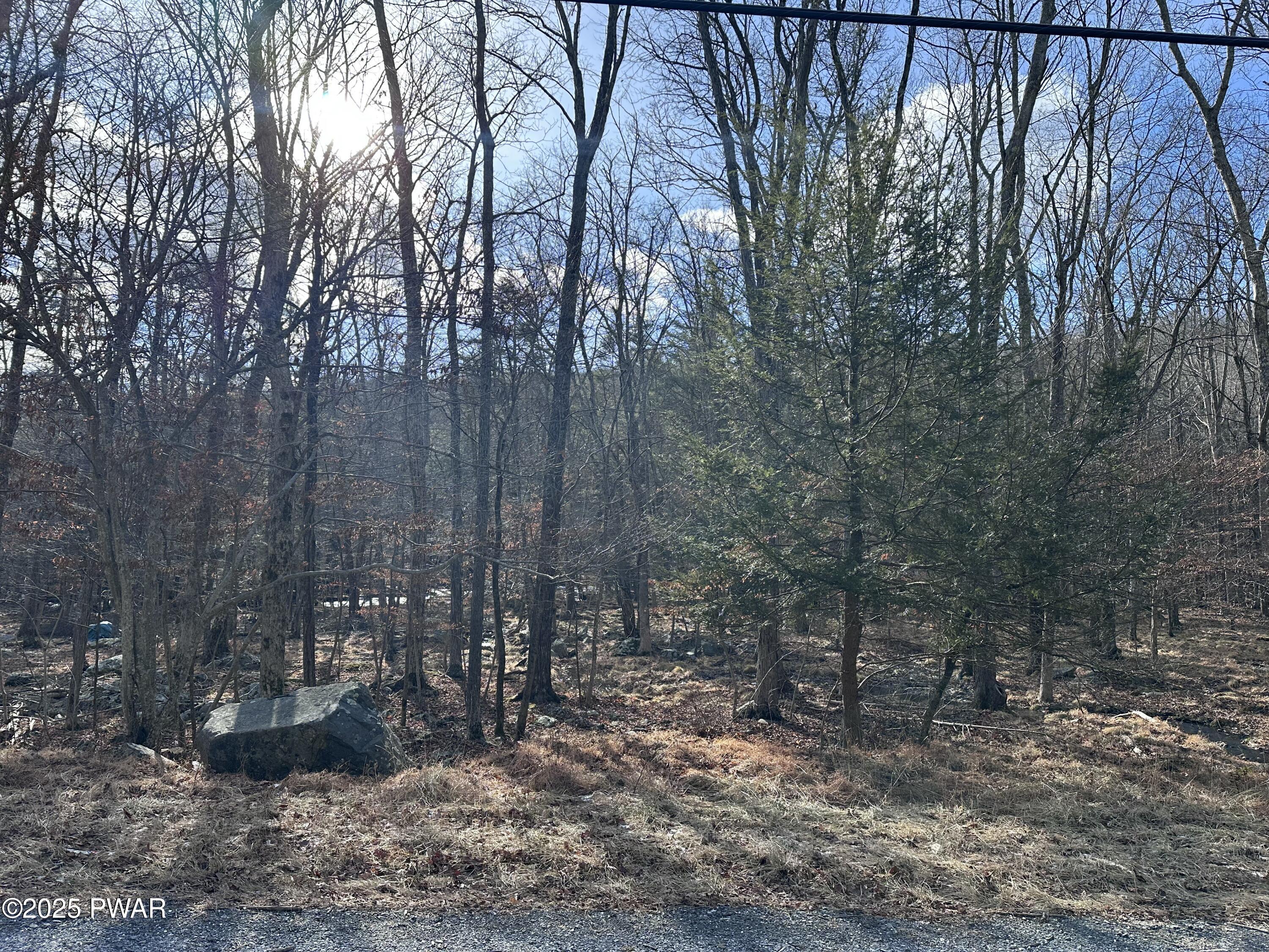 Lot 736 Decker Road, Bushkill, Pennsylvania image 1