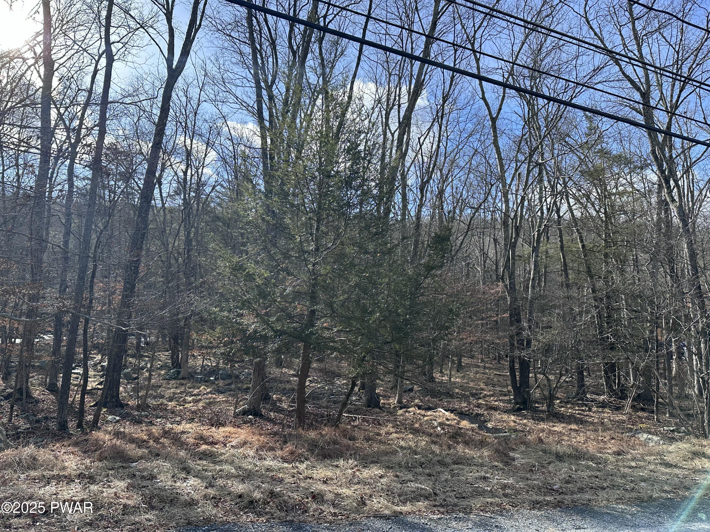 Lot 736 Decker Road, Bushkill, Pennsylvania image 3