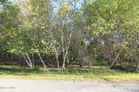 Vacant Land For Sale - 447 Chipmunk Lane<br/> Lake Ariel, PA 18436