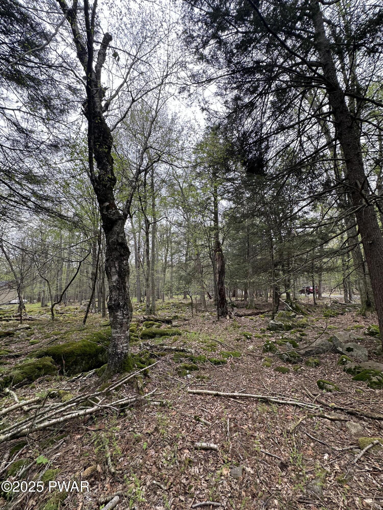 32 Old Silver Mine Trail, Gouldsboro, Pennsylvania image 3