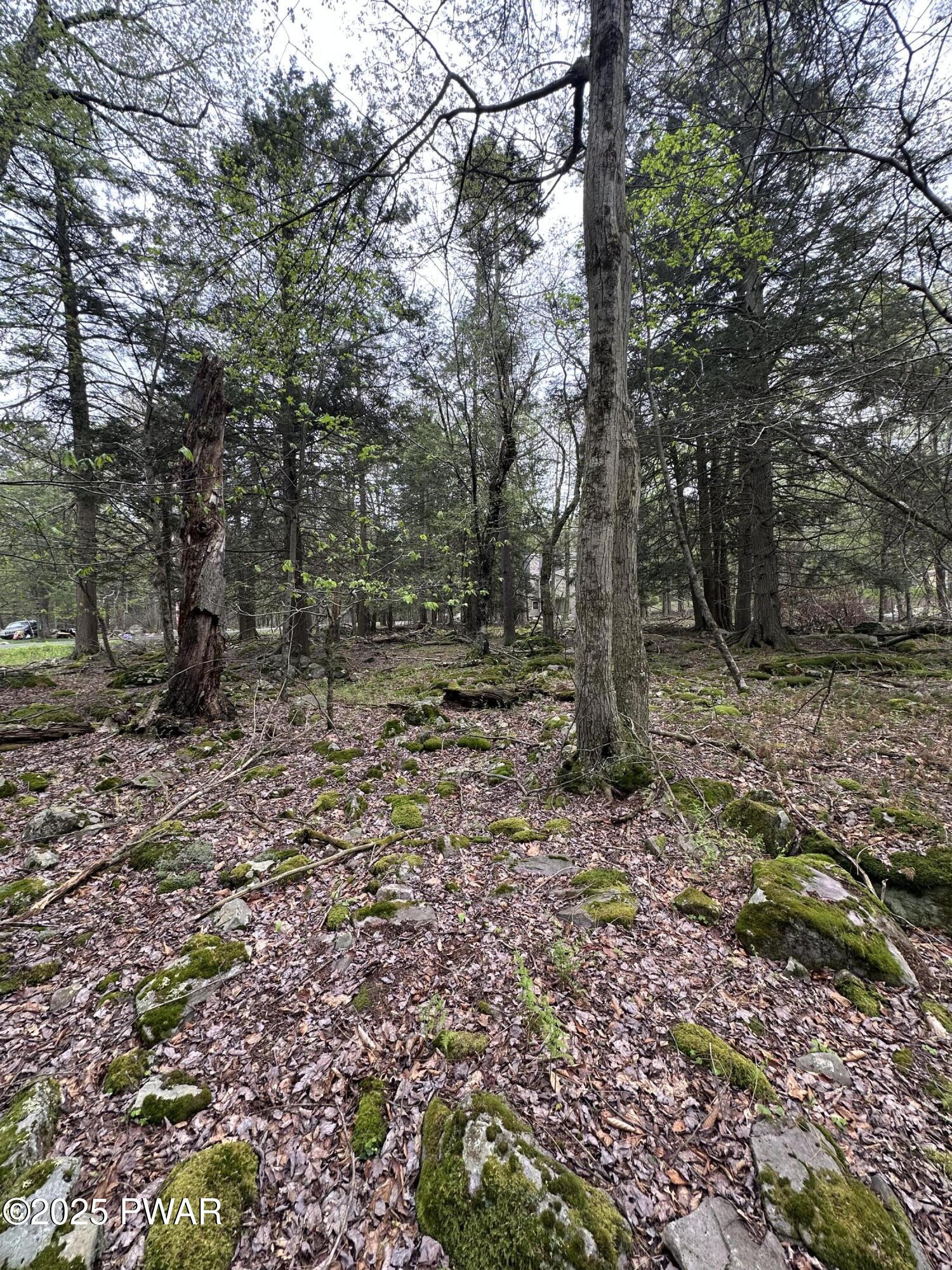 32 Old Silver Mine Trail, Gouldsboro, Pennsylvania image 4