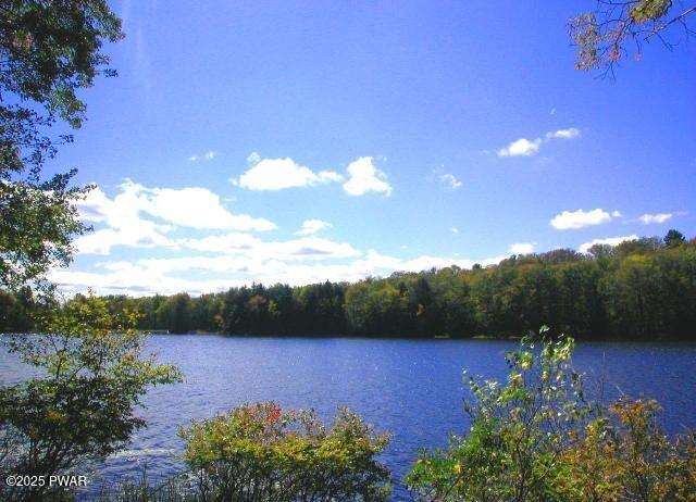 32 Old Silver Mine Trail, Gouldsboro, Pennsylvania image 14