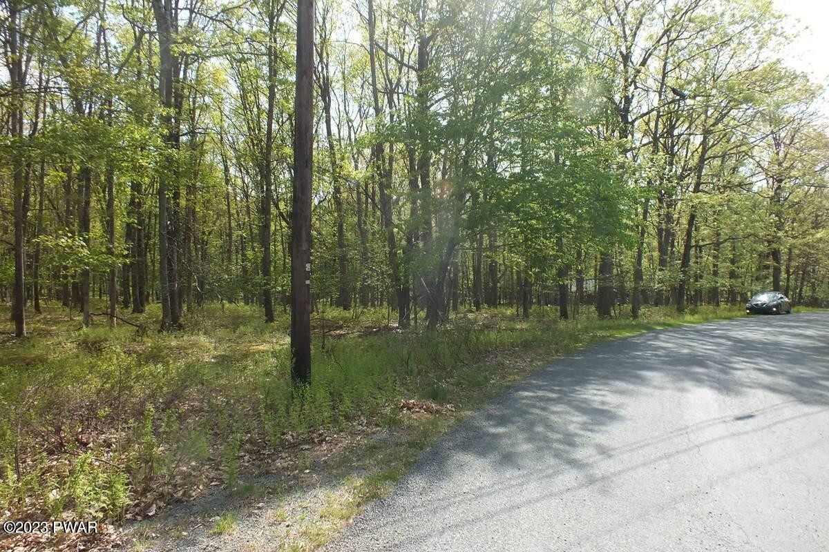 Lot 198 Rimrock Lane, Hawley, Pennsylvania image 4