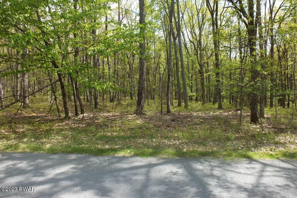 Lot 198 Rimrock Lane, Hawley, Pennsylvania image 6