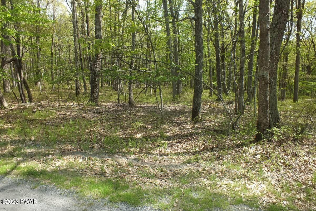 Lot 198 Rimrock Lane, Hawley, Pennsylvania image 1