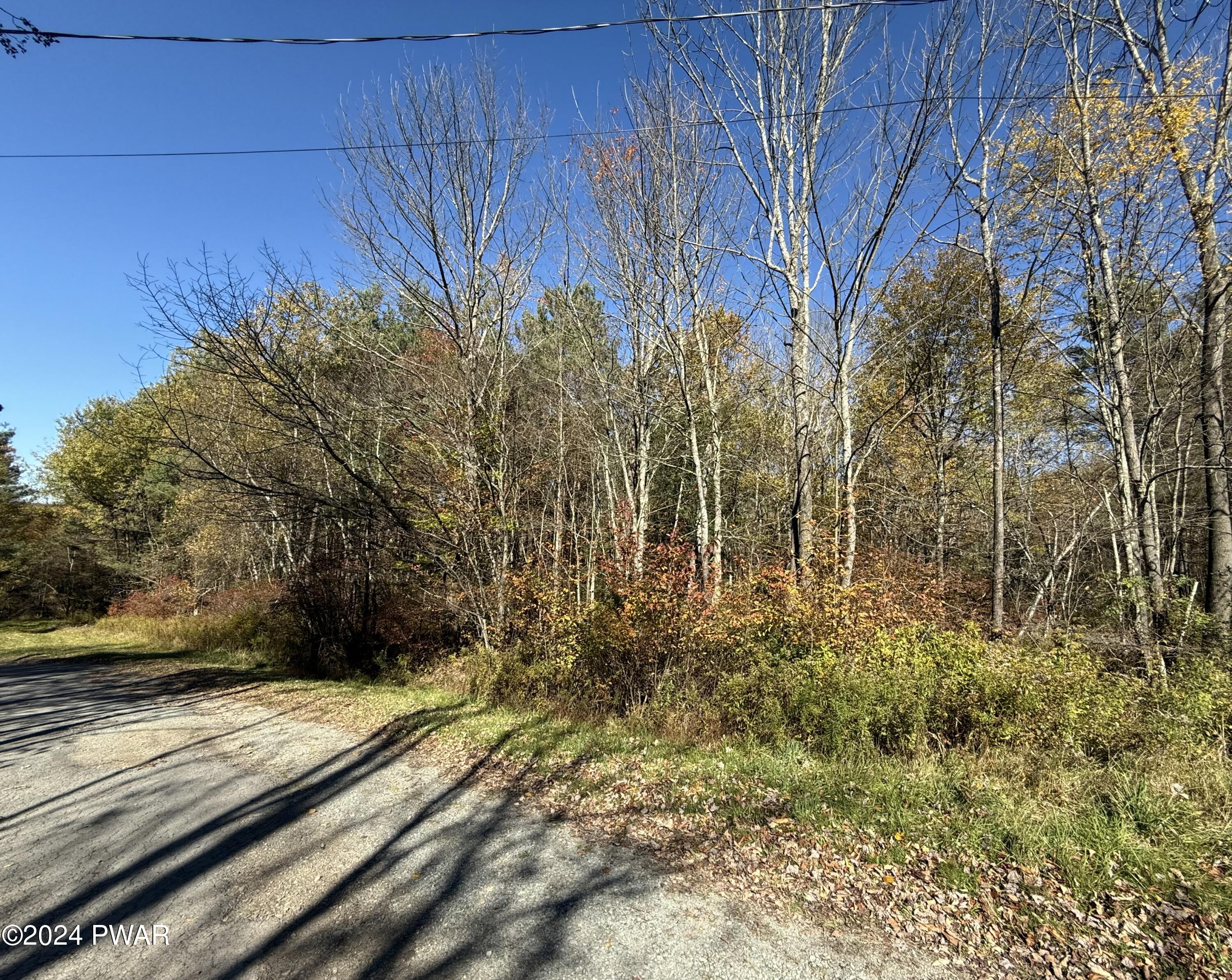 Lot 24 Laurel Drive, Honesdale, Pennsylvania image 3