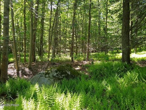 Vacant Land For Sale - Pine Creek Road<br/> Wayne County, Hawley, PA 18428
