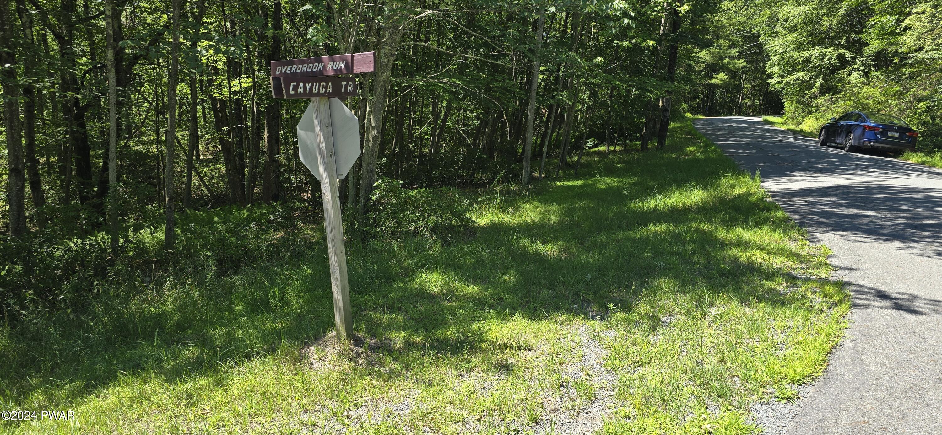 Cayuga Trail, Milford, Pennsylvania image 2