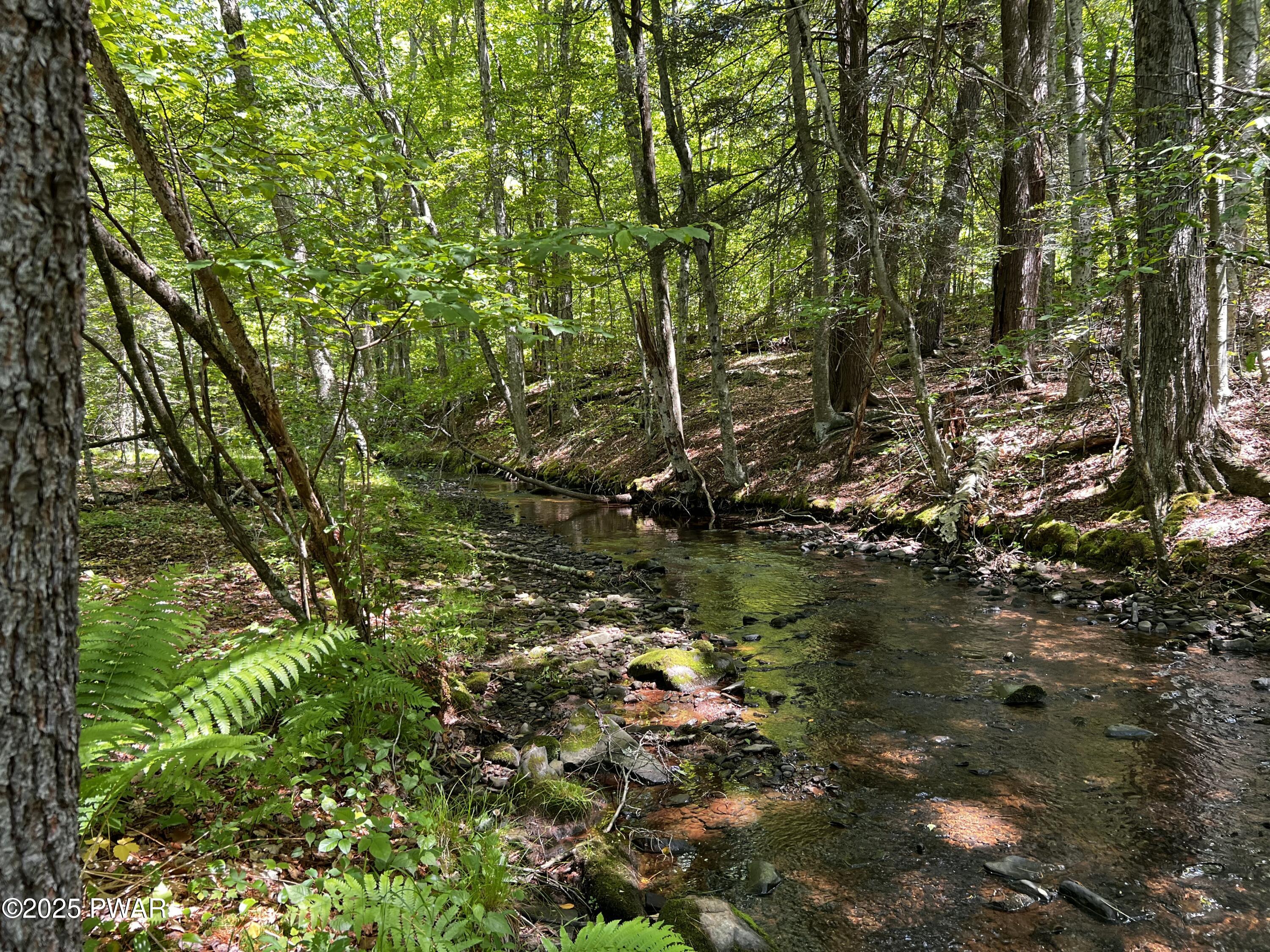 452 Boyds Mills Road, Milanville, Pennsylvania image 14