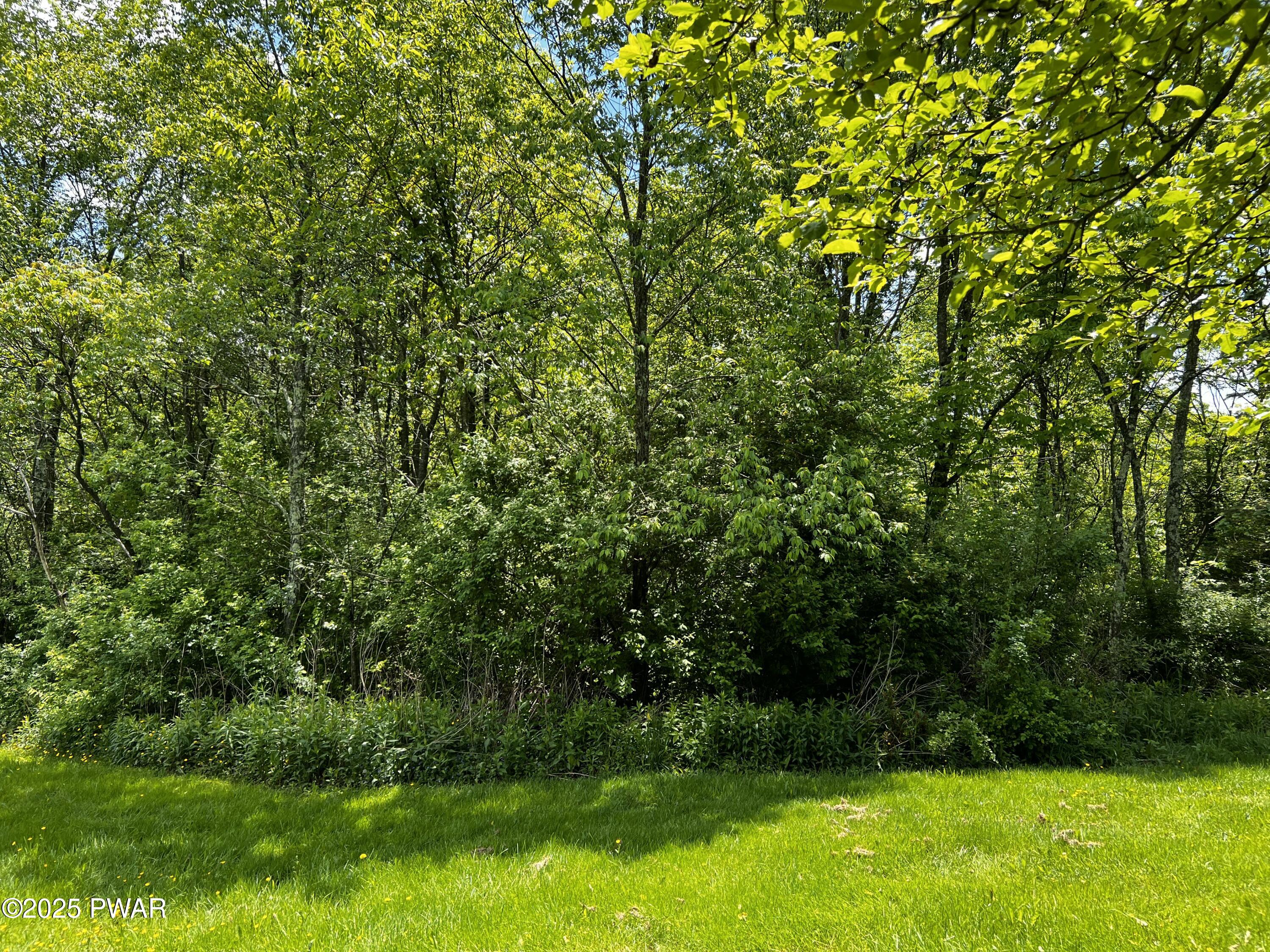 452 Boyds Mills Road, Milanville, Pennsylvania image 21