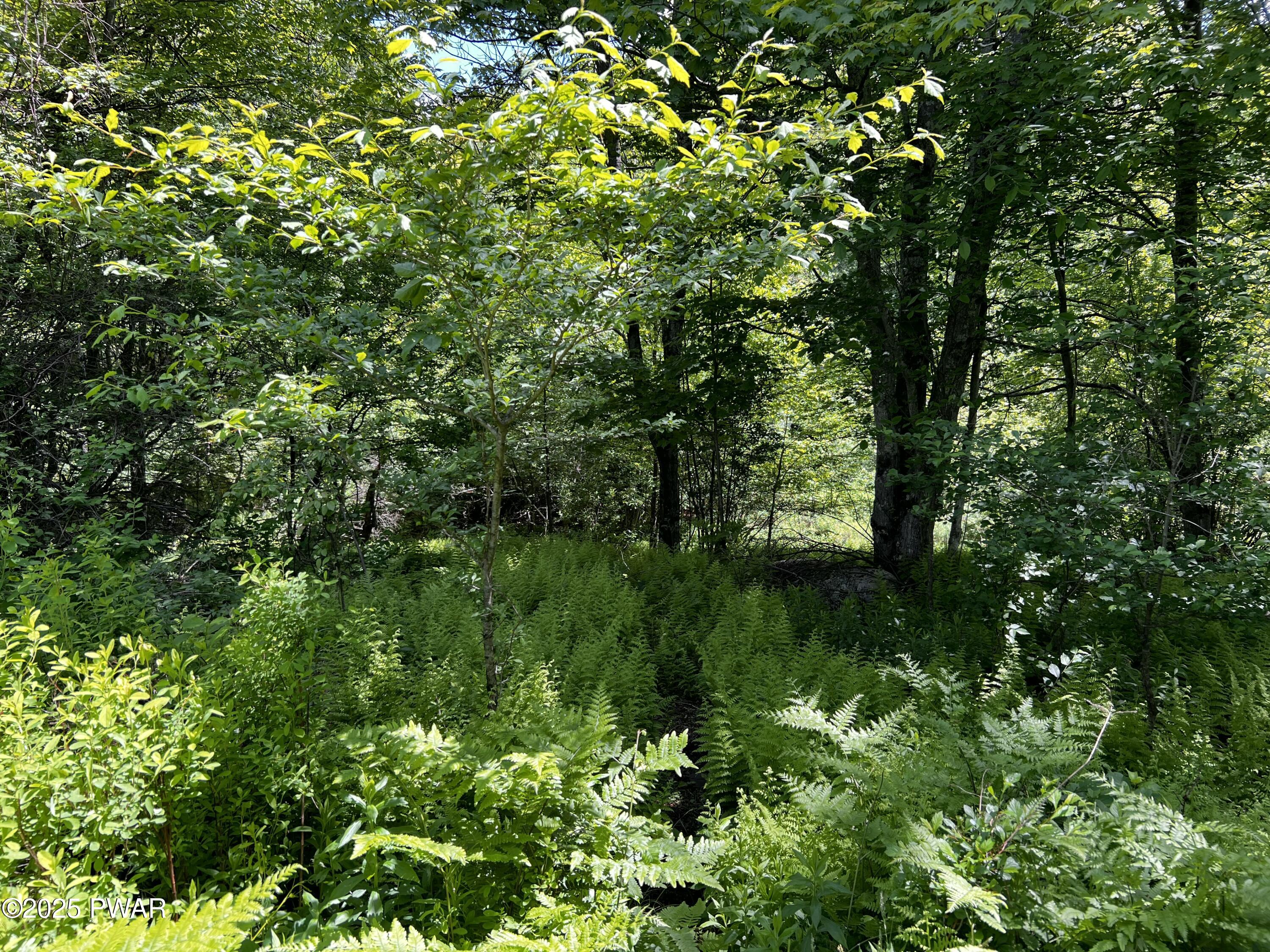 452 Boyds Mills Road, Milanville, Pennsylvania image 20