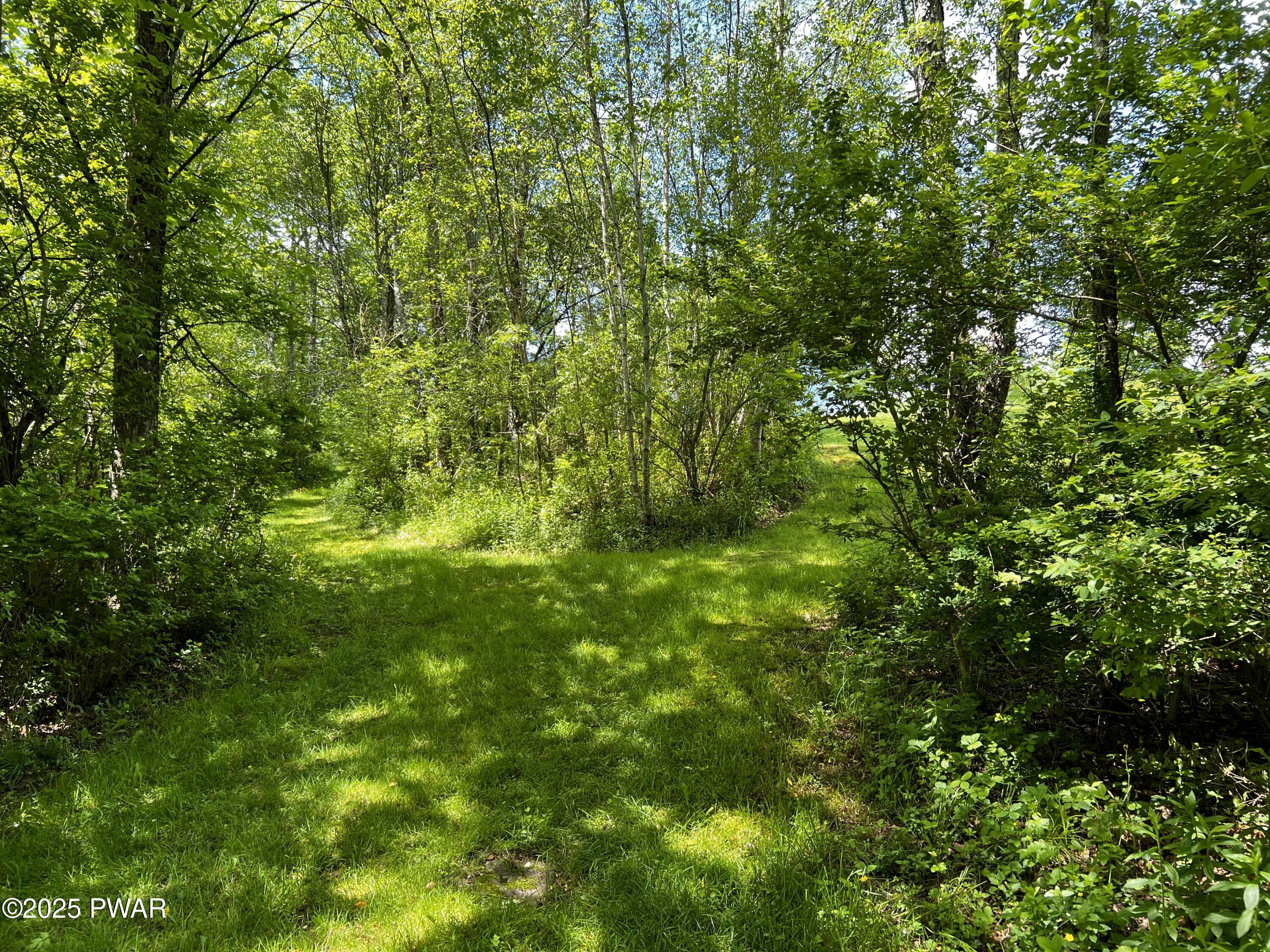 452 Boyds Mills Road, Milanville, Pennsylvania image 17