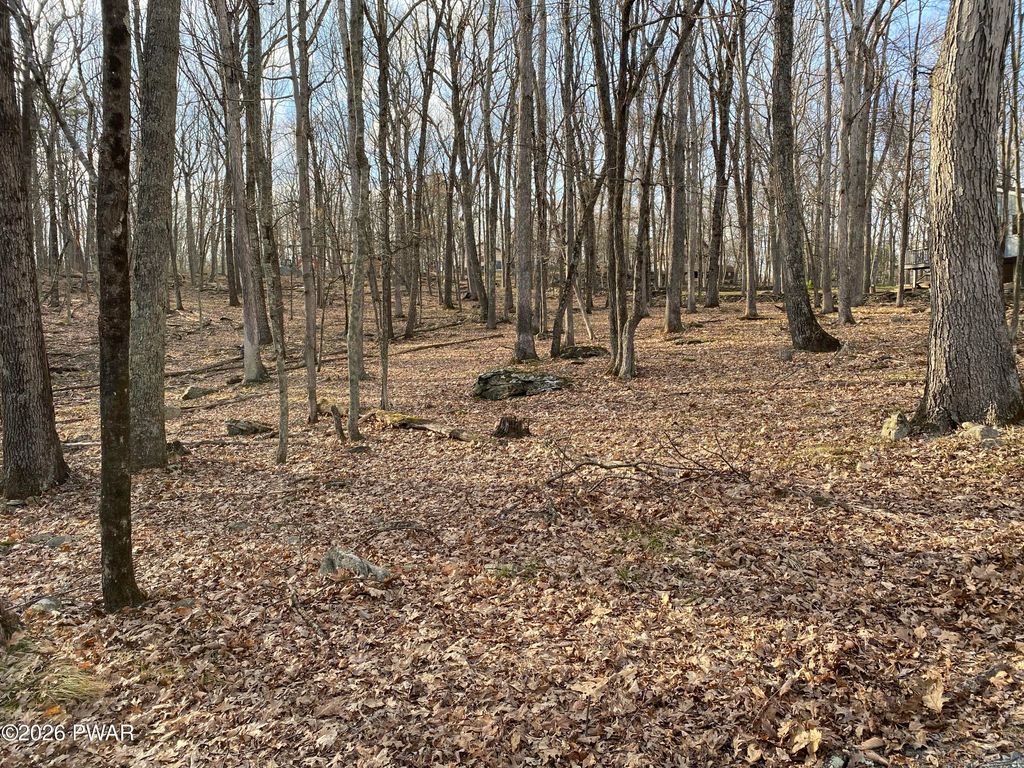 Photo of 76 Forest Ridge Drive, Hawley, PA 18428 (MLS # PW261022)