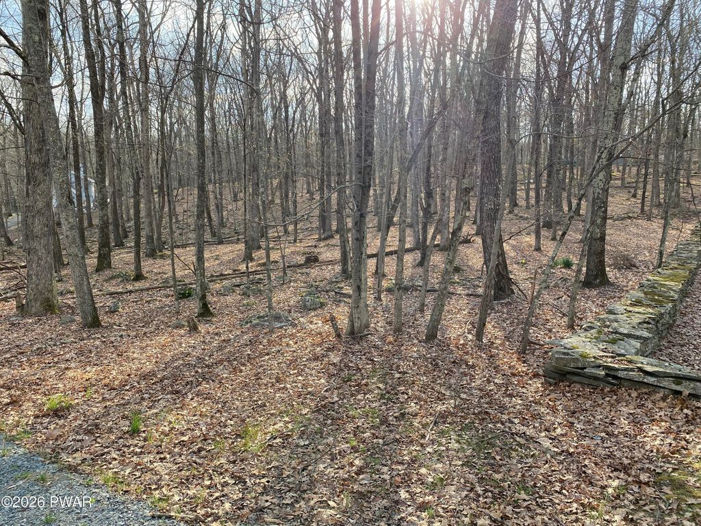 Photo of 76 Forest Ridge Drive, Hawley, PA 18428 (MLS # PW261022)