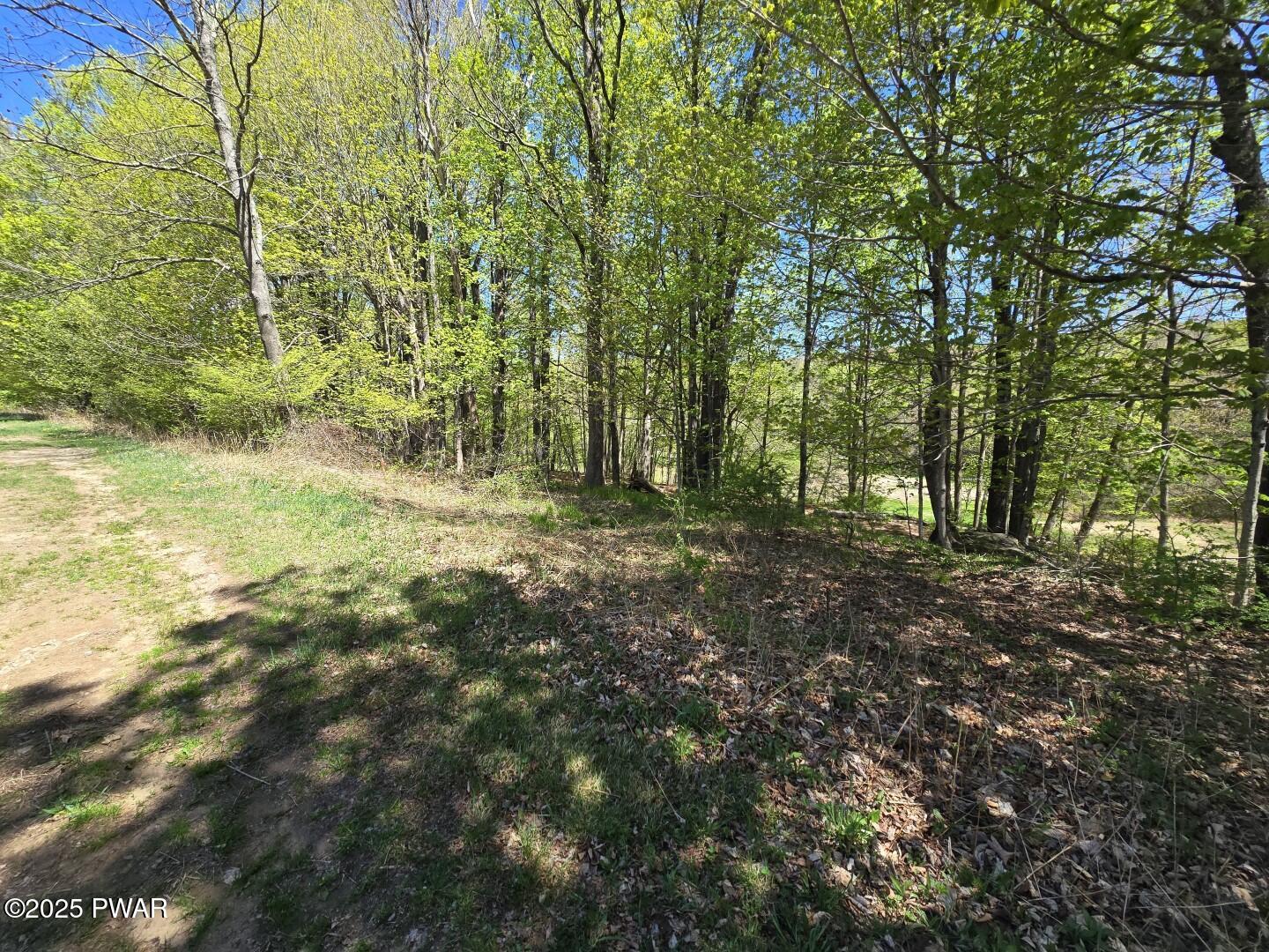 Long River Road, Newfoundland, Pennsylvania image 27