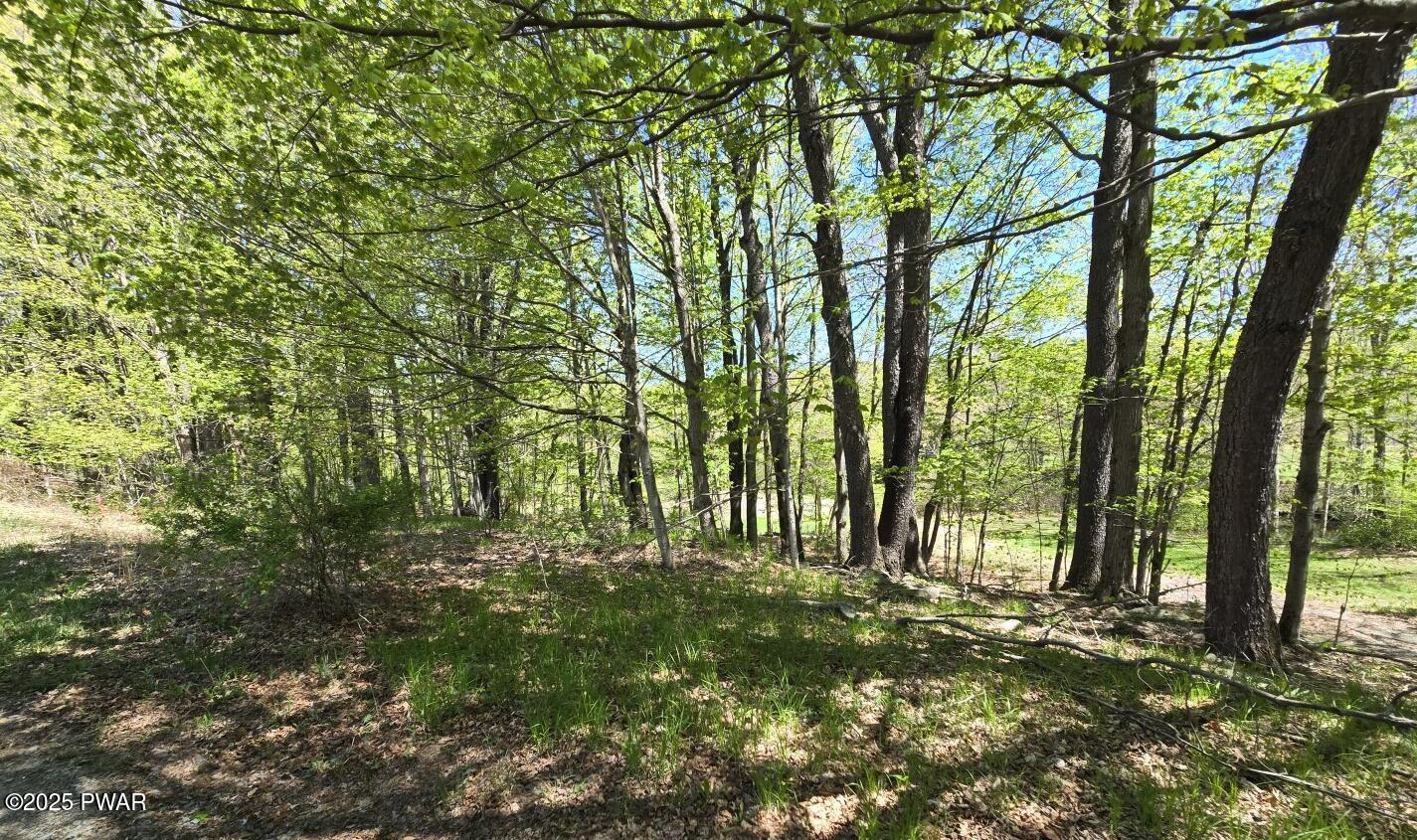 Long River Road, Newfoundland, Pennsylvania image 26