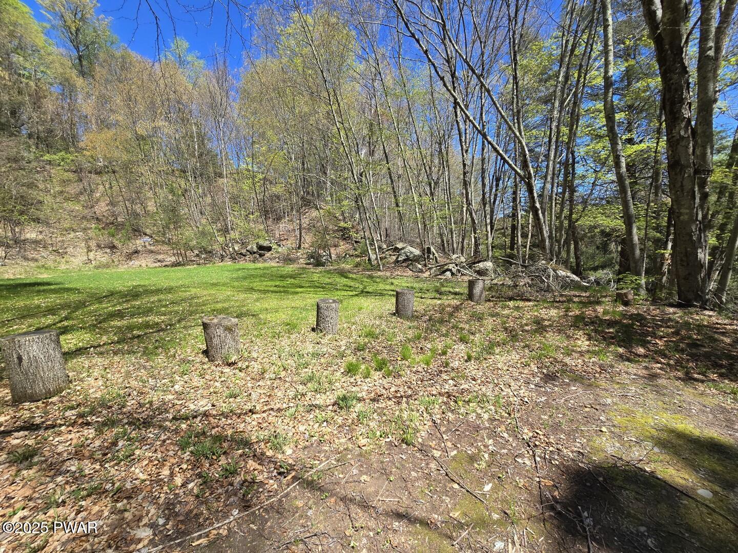 Long River Road, Newfoundland, Pennsylvania image 24