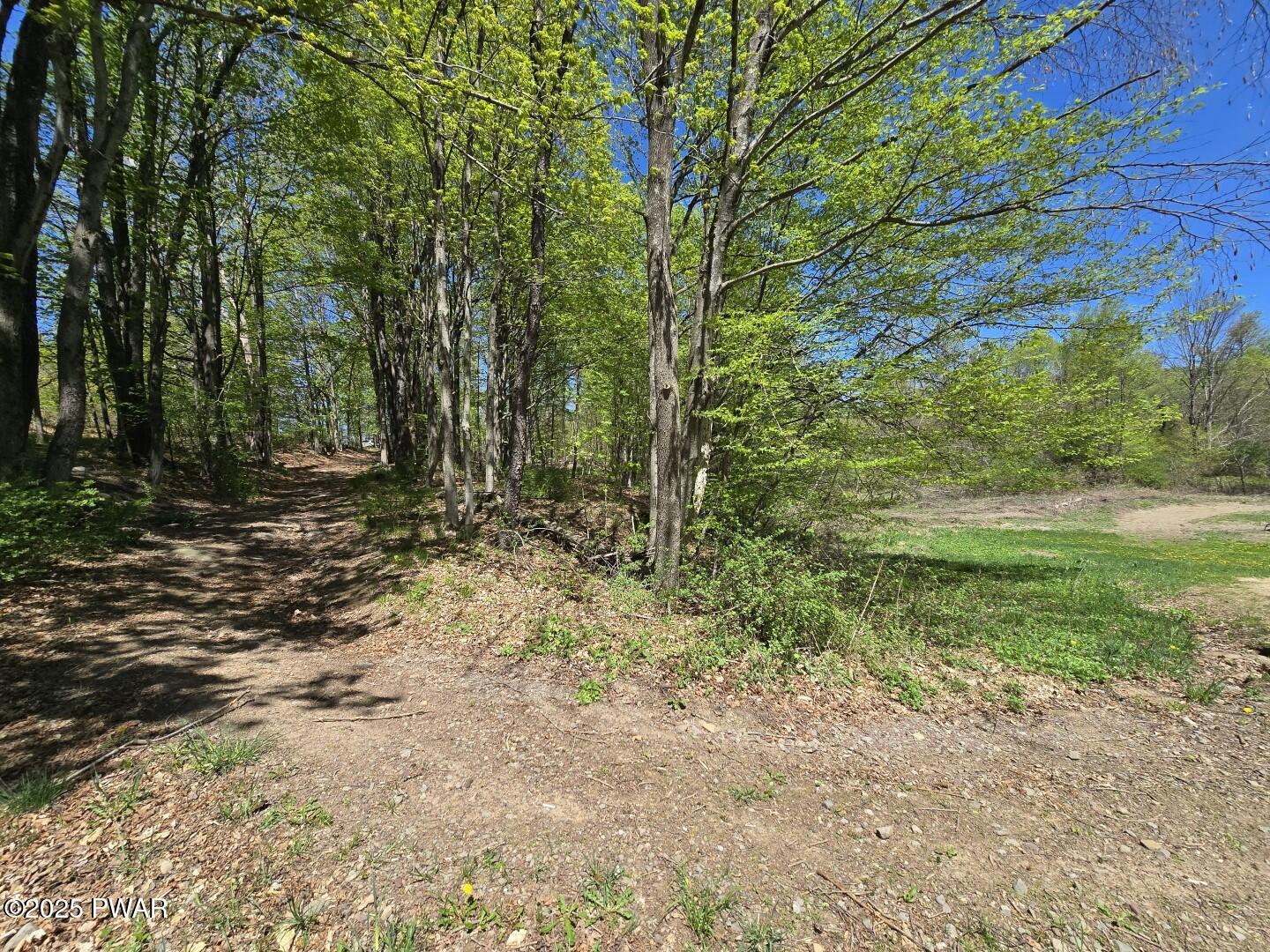 Long River Road, Newfoundland, Pennsylvania image 18