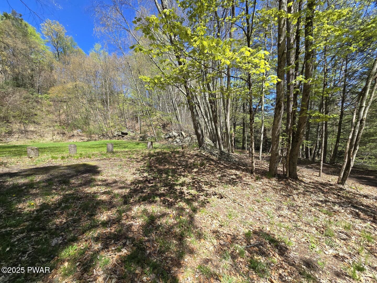 Long River Road, Newfoundland, Pennsylvania image 23