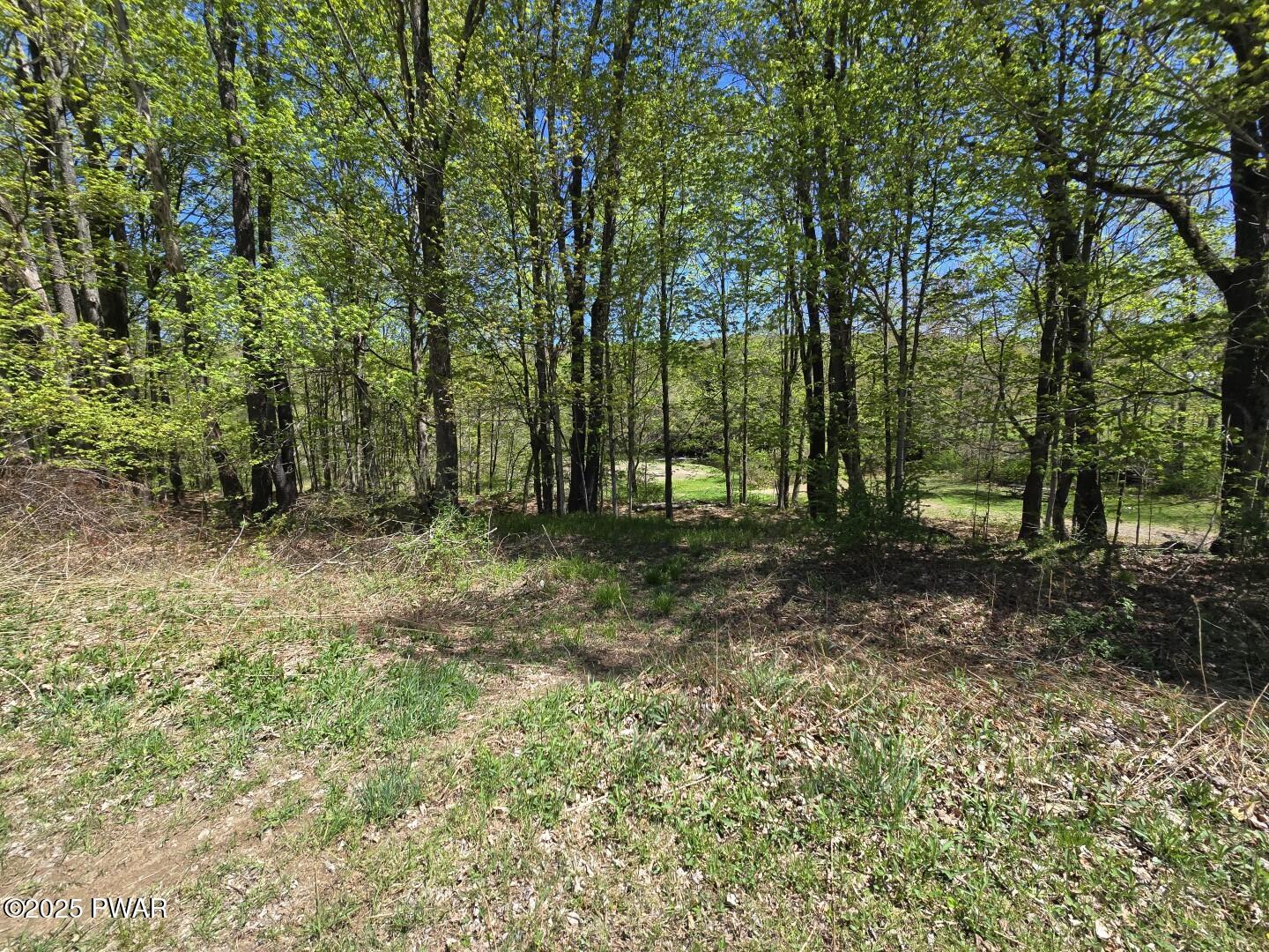 Long River Road, Newfoundland, Pennsylvania image 28