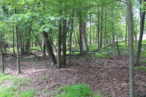 Vacant Land For Sale - LOT 28 N Forrest Drive<br/> Pike County, Milford, PA 18337