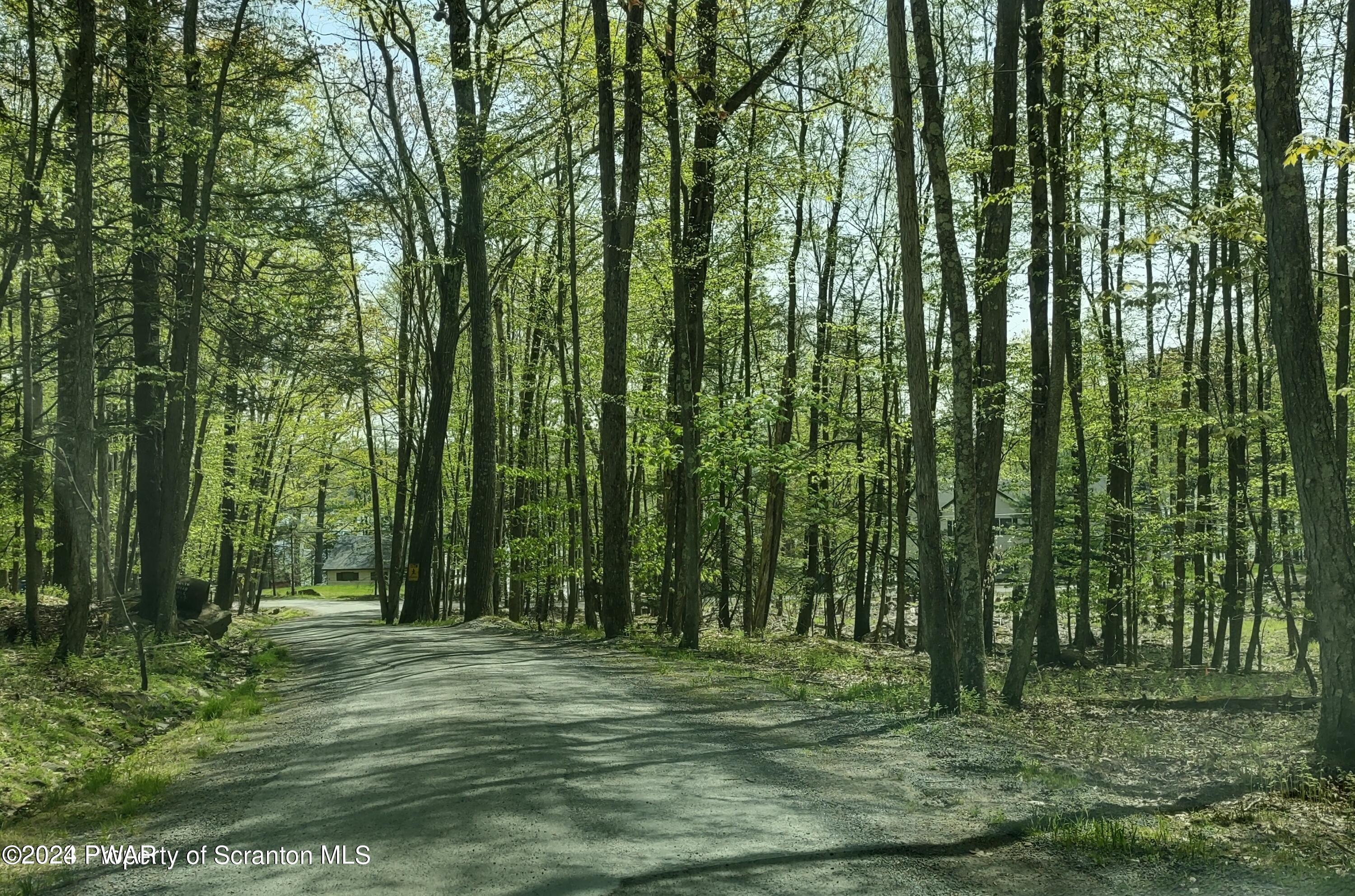 Lakeview Dr/ South Briar Hill, Lakeville, Pennsylvania image 10