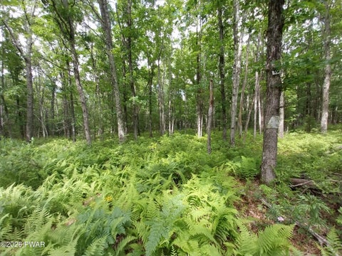Vacant Land For Sale - LOT 10 Whispering Oaks Road Road<br/> Pike County, Greeley, PA 18425