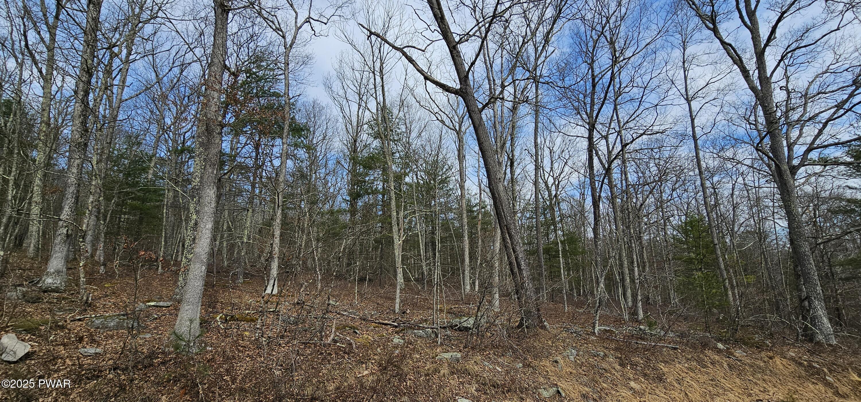 Lot 20.22 Woods Road, Barryville, New York image 10