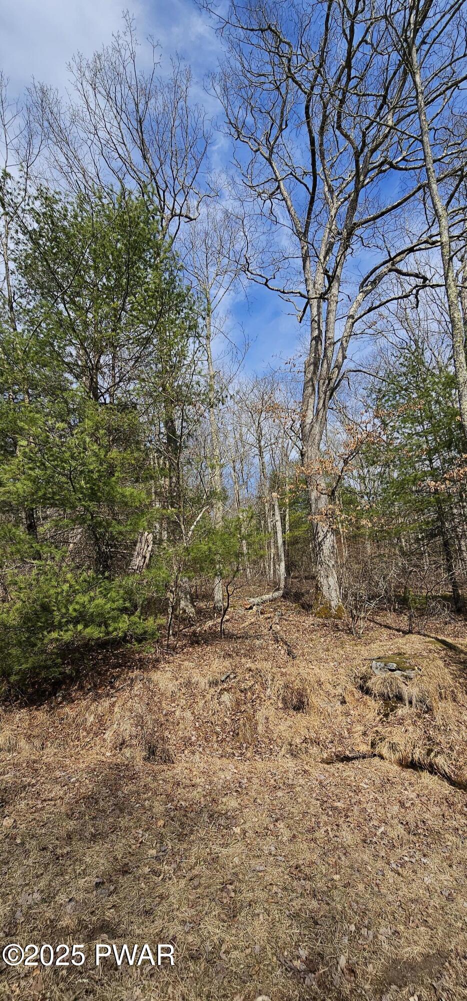 Lot 20.22 Woods Road, Barryville, New York image 3