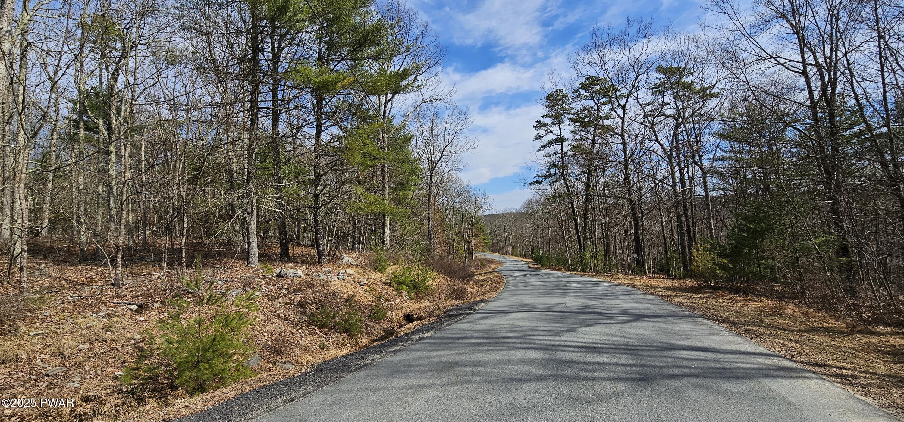 Lot 20.22 Woods Road, Barryville, New York image 2