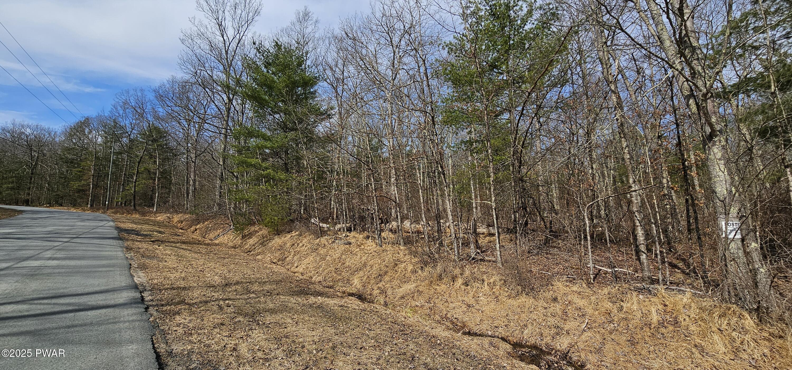 Lot 20.22 Woods Road, Barryville, New York image 5