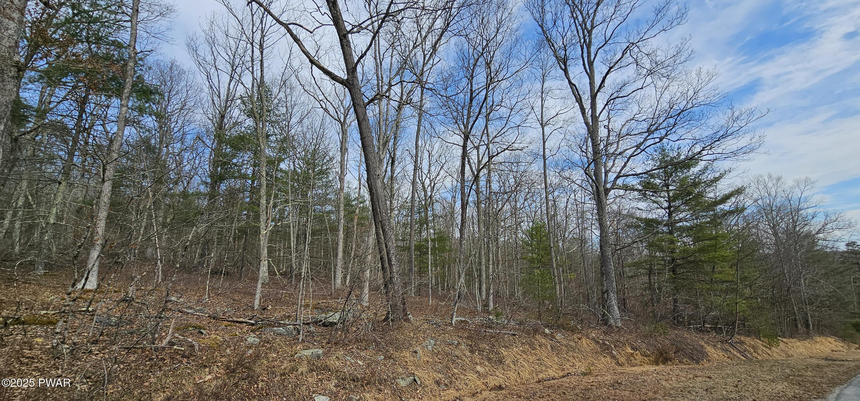 Lot 20.22 Woods Road, Barryville, New York image 11