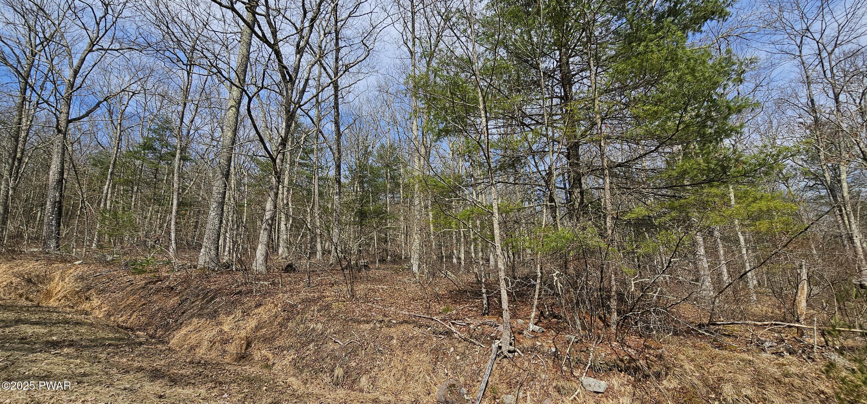 Lot 20.22 Woods Road, Barryville, New York image 7