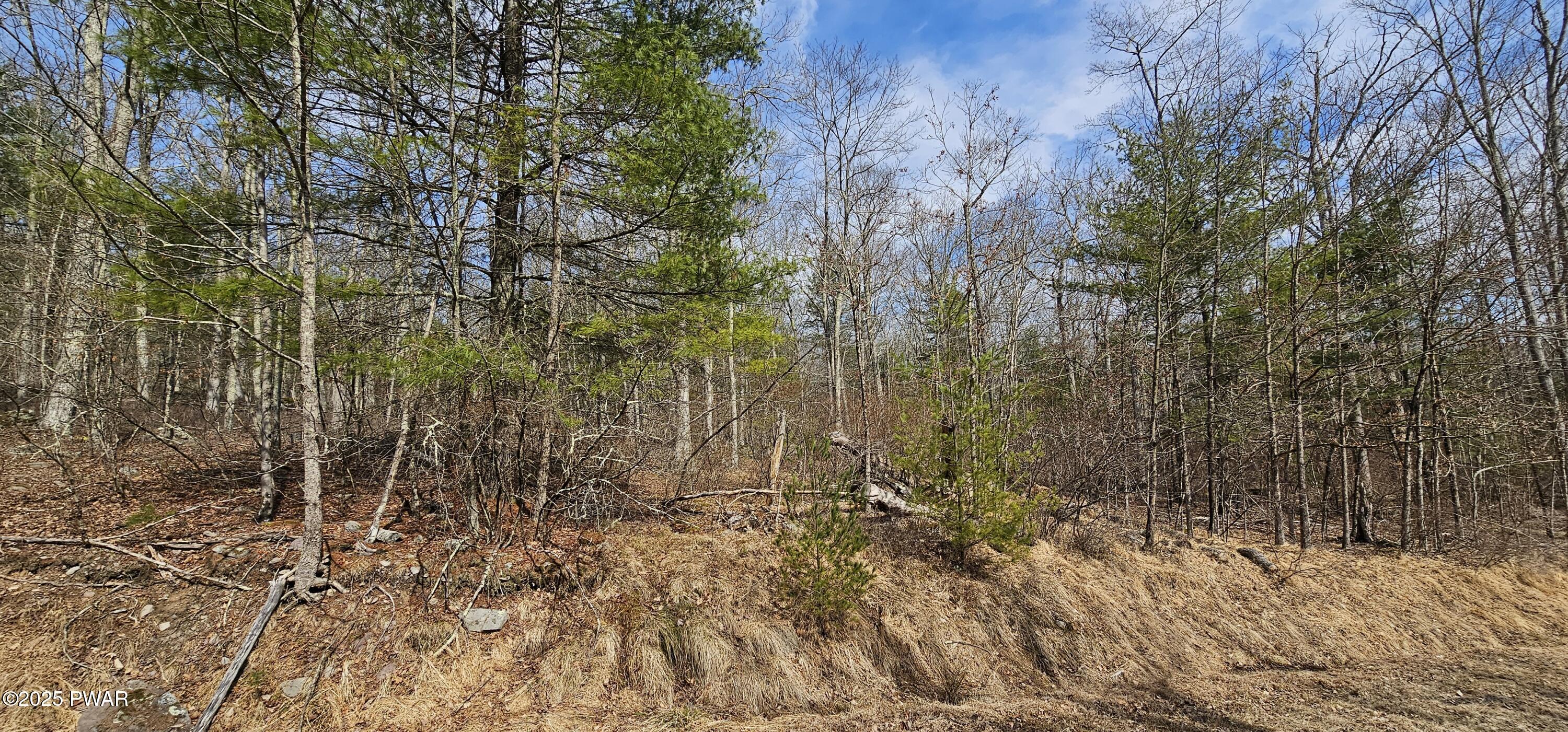 Lot 20.22 Woods Road, Barryville, New York image 6