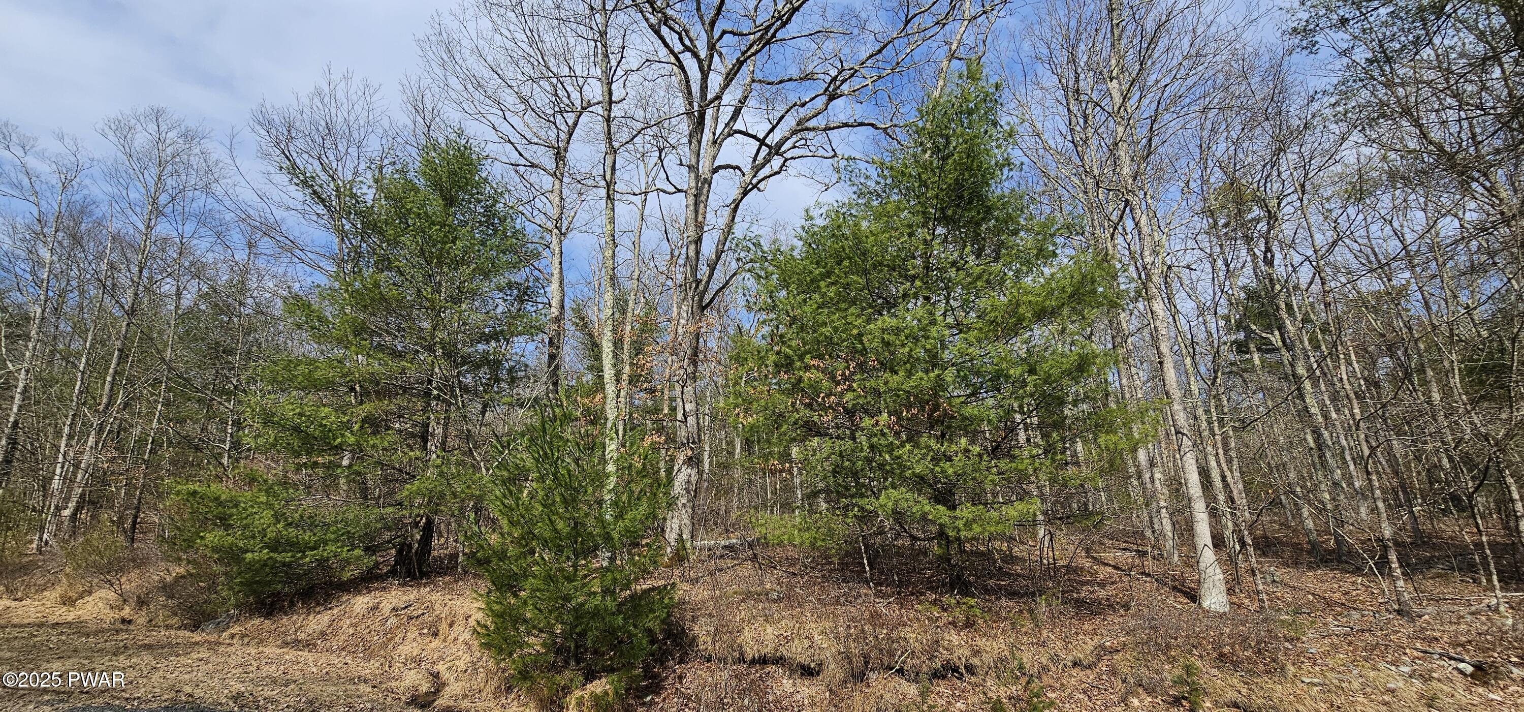 Lot 20.22 Woods Road, Barryville, New York image 1