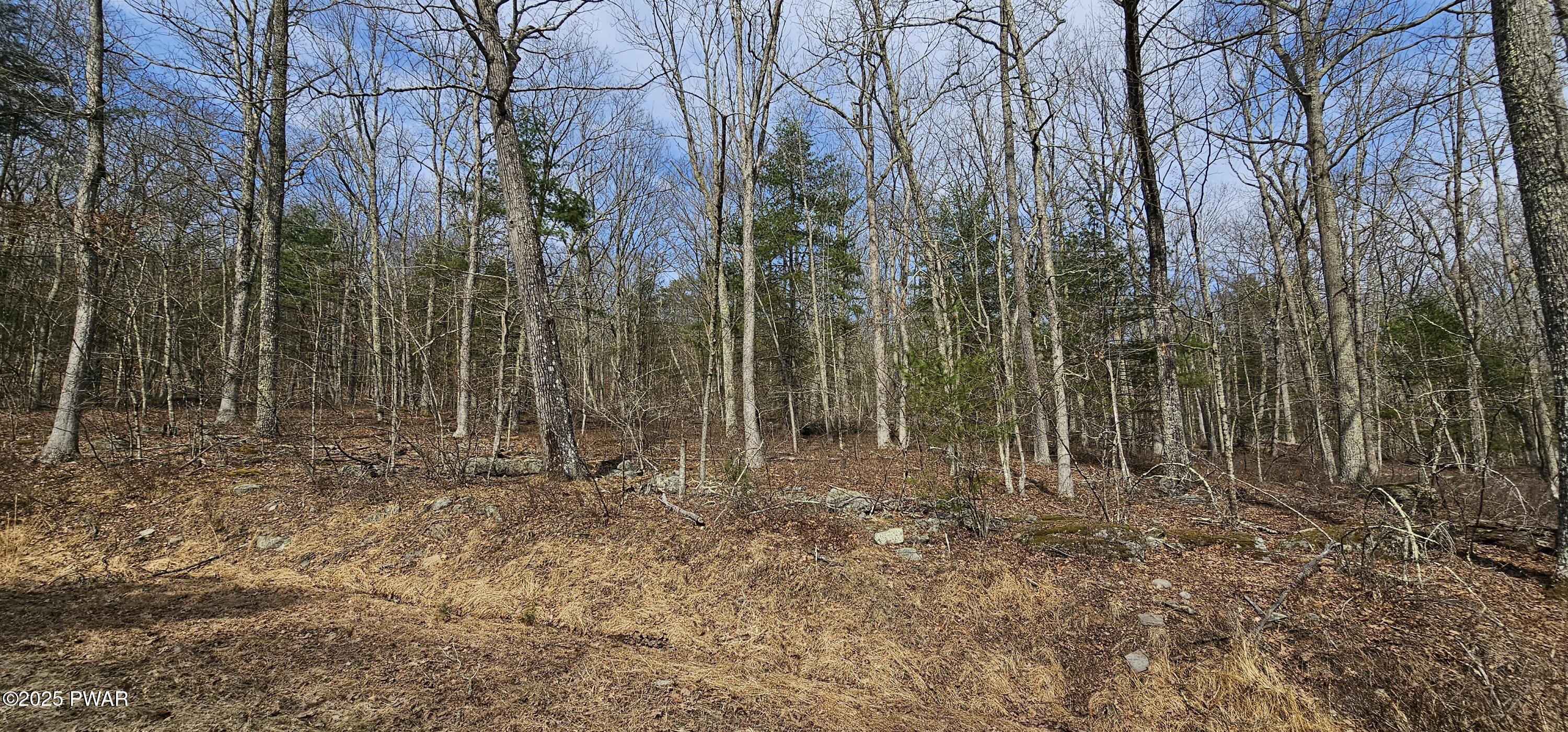 Lot 20.22 Woods Road, Barryville, New York image 8
