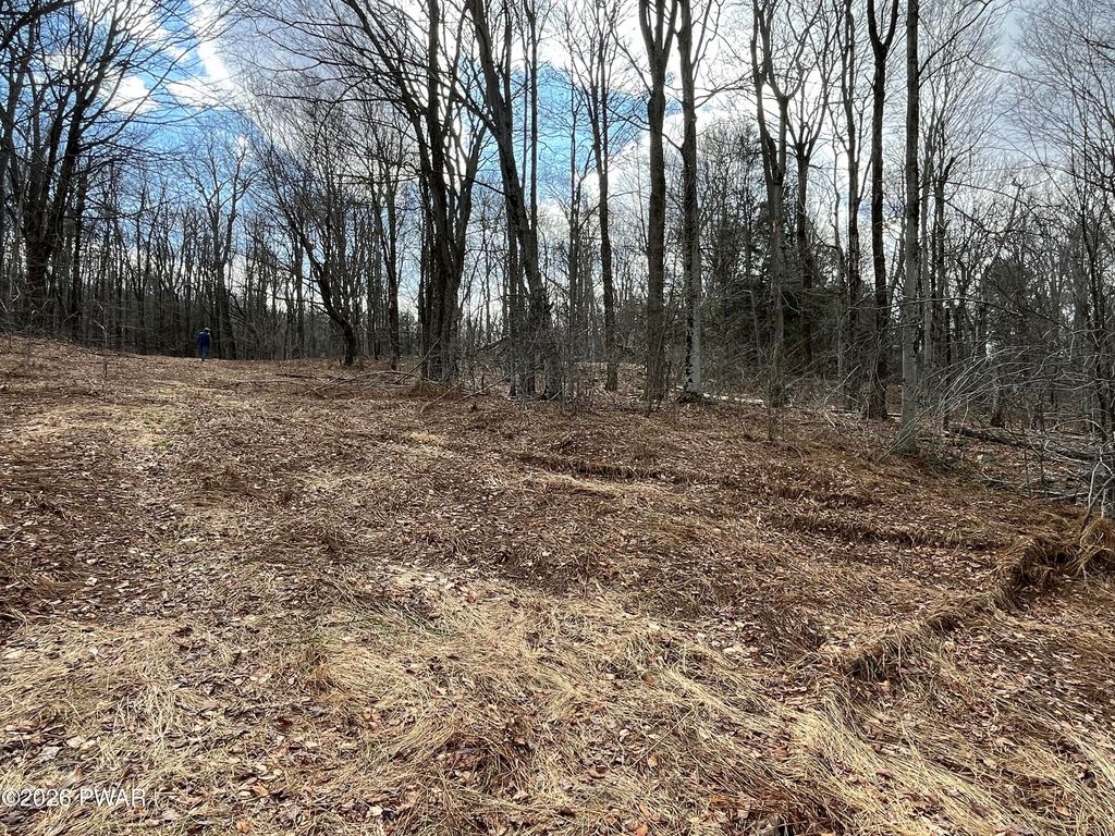 Photo of Lot 12 Sec 2, Newfoundland, PA 18445 (MLS # PW260714)