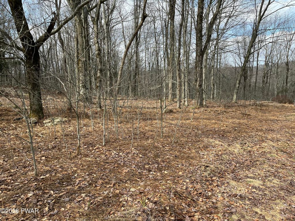 Photo of Lot 12 Sec 2, Newfoundland, PA 18445 (MLS # PW260714)