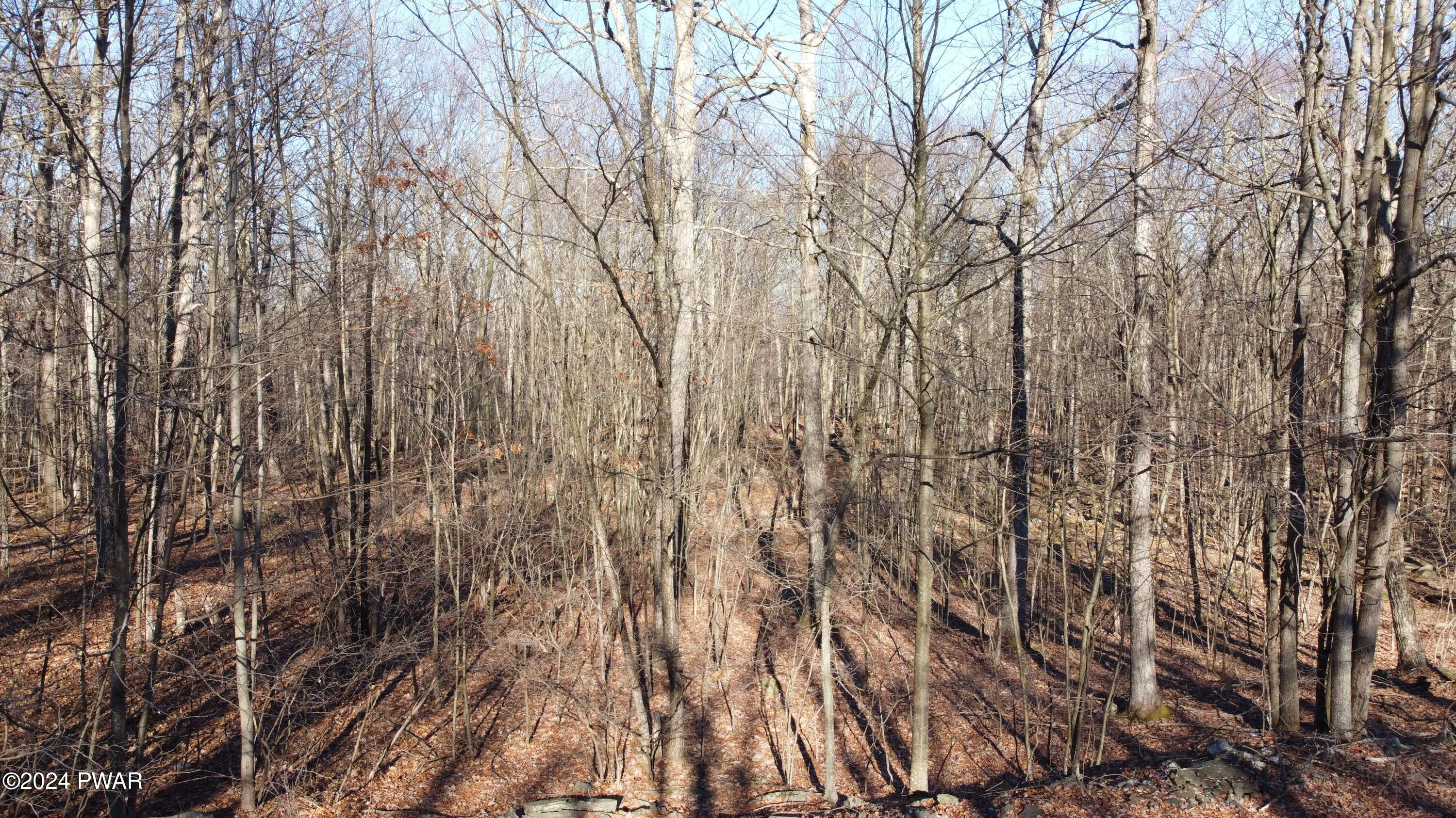 Hawley, Pennsylvania 18428, United States, ,Land,Pending,65523