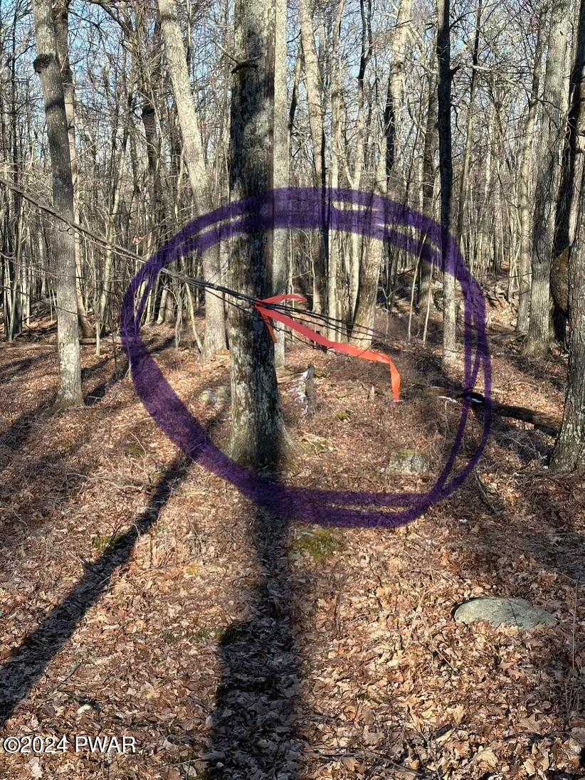 Hawley, Pennsylvania 18428, United States, ,Land,Pending,65523