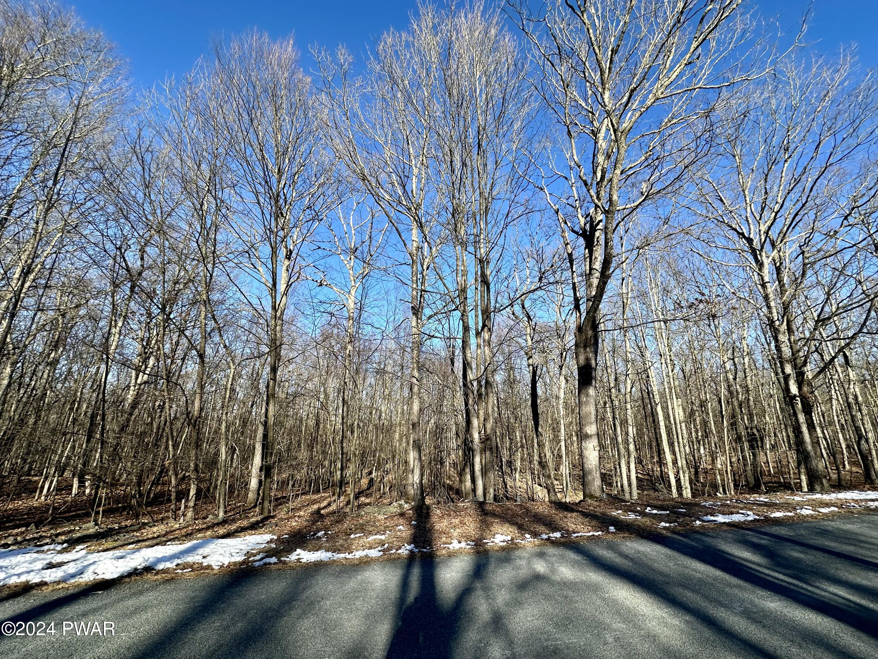 Hawley, Pennsylvania 18428, United States, ,Land,Pending,65523