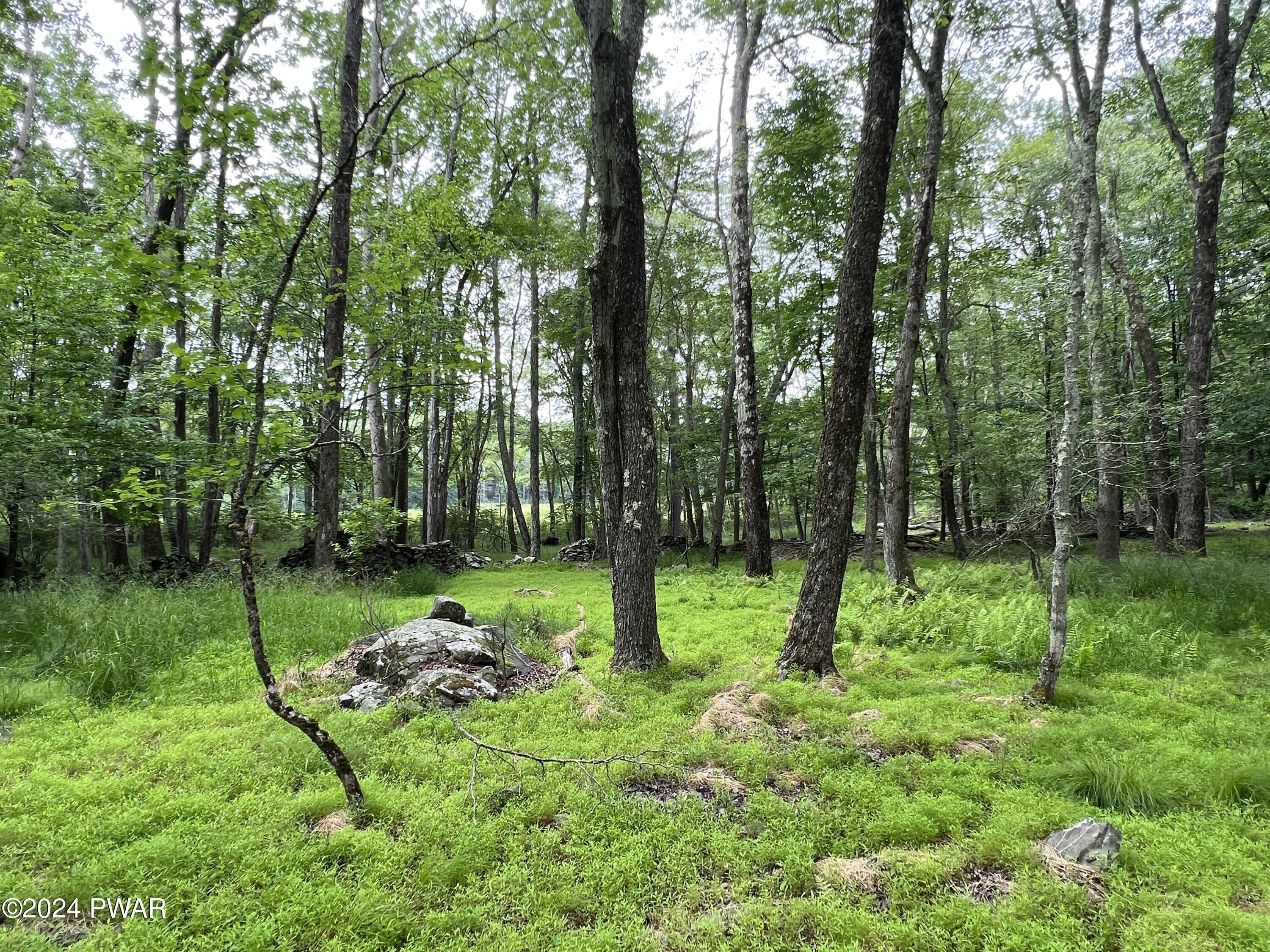 Westcolang Road, Lackawaxen, Pennsylvania image 35