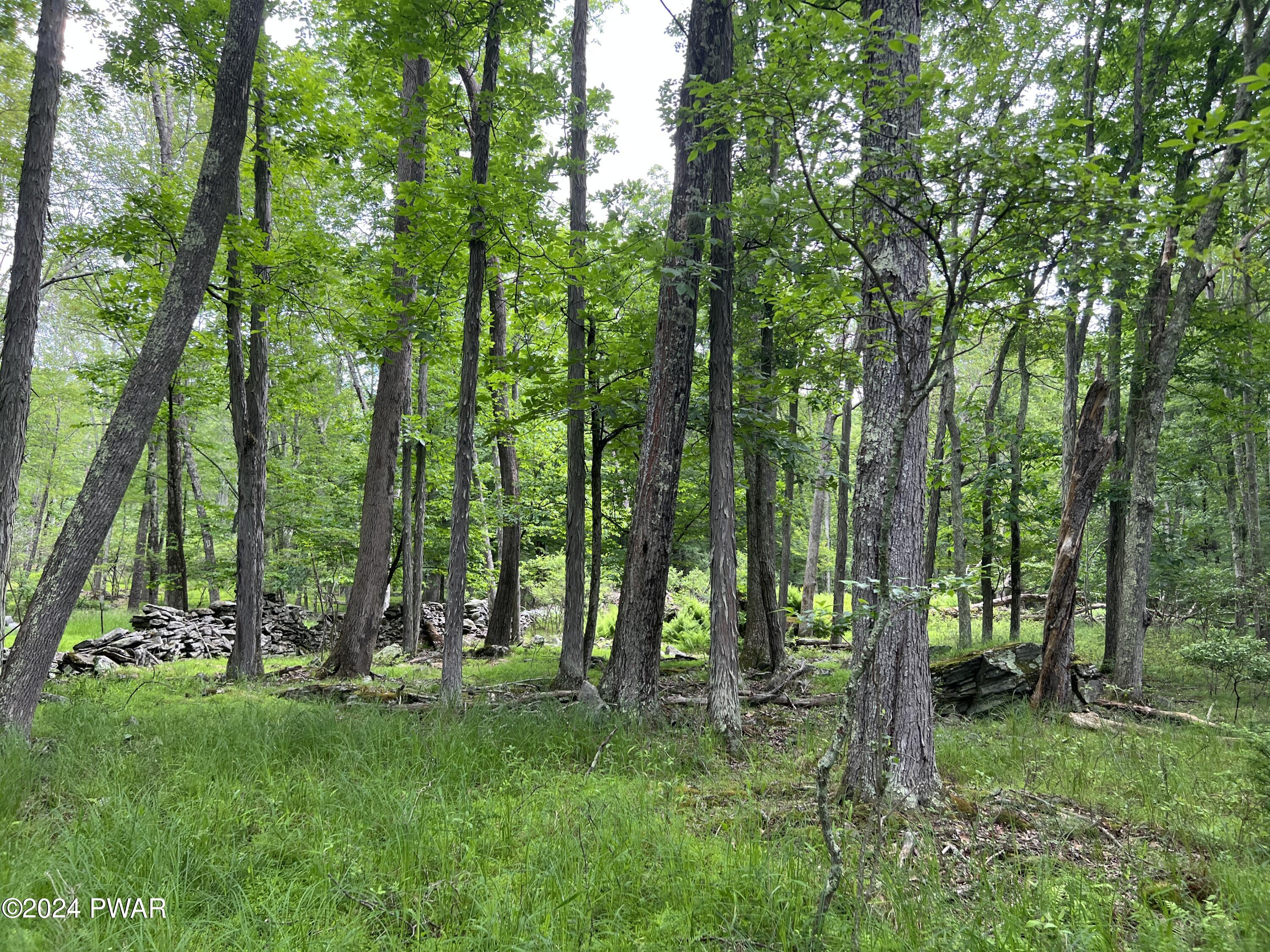 Westcolang Road, Lackawaxen, Pennsylvania image 30