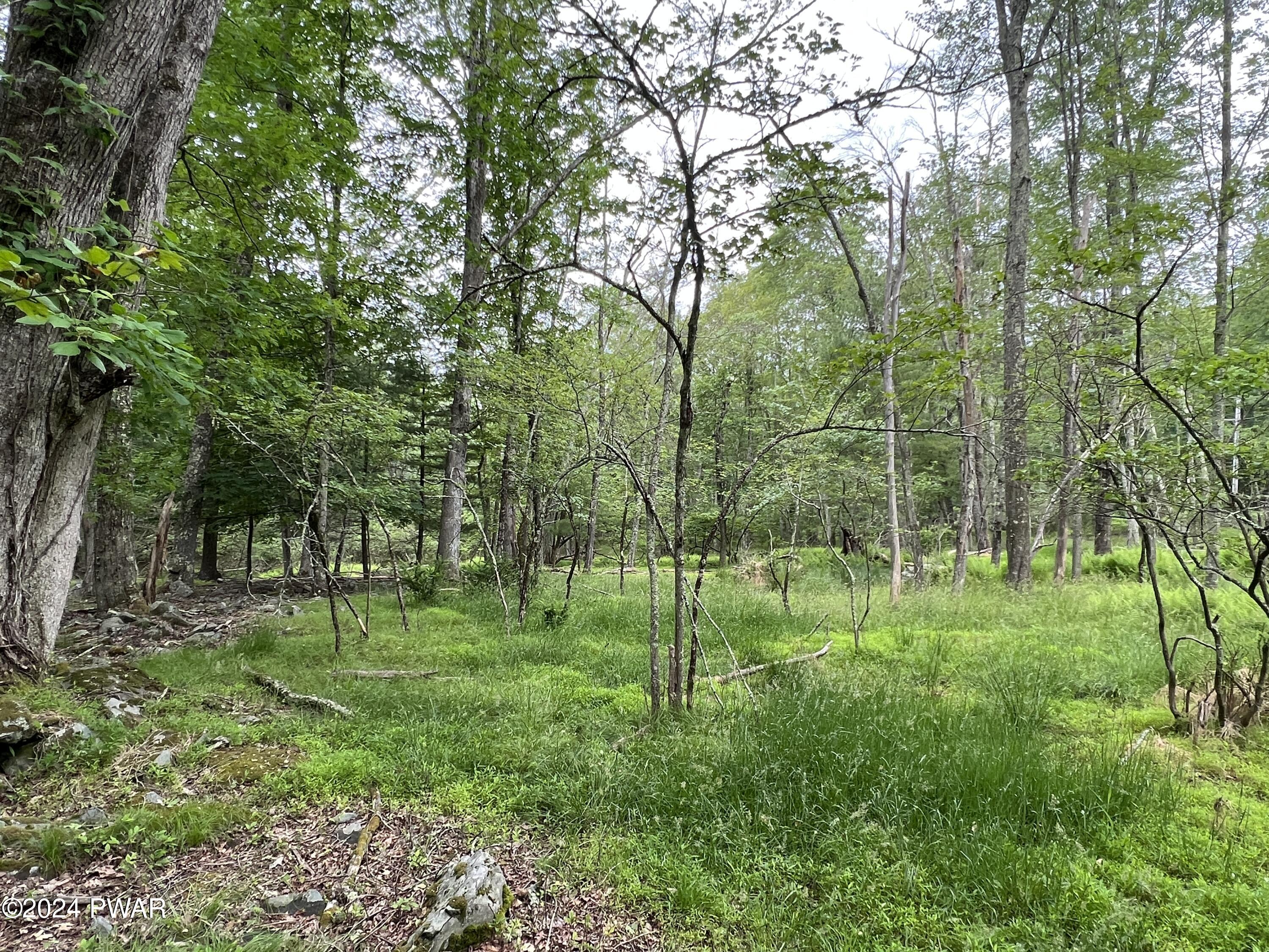 Westcolang Road, Lackawaxen, Pennsylvania image 11