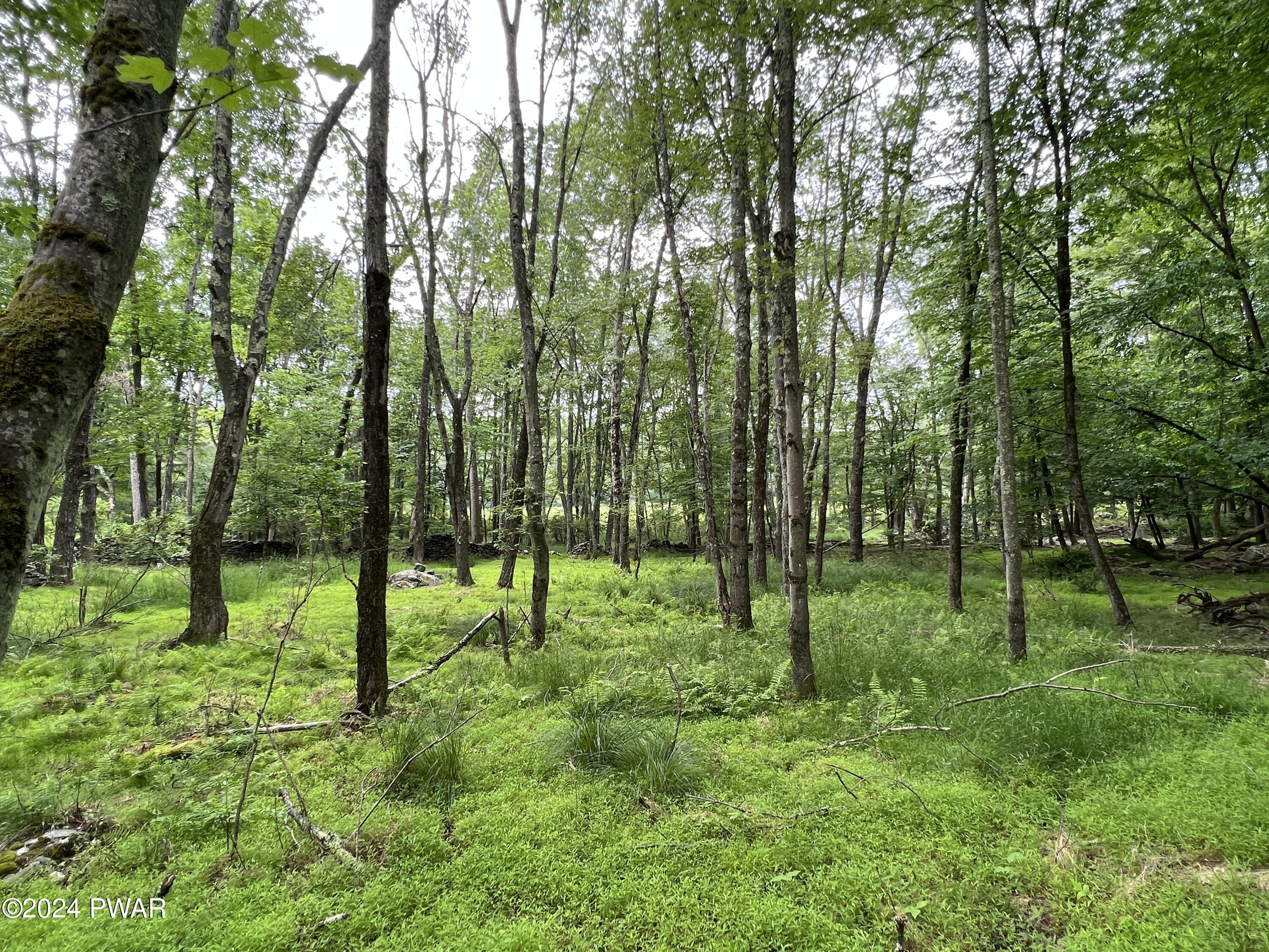 Westcolang Road, Lackawaxen, Pennsylvania image 7