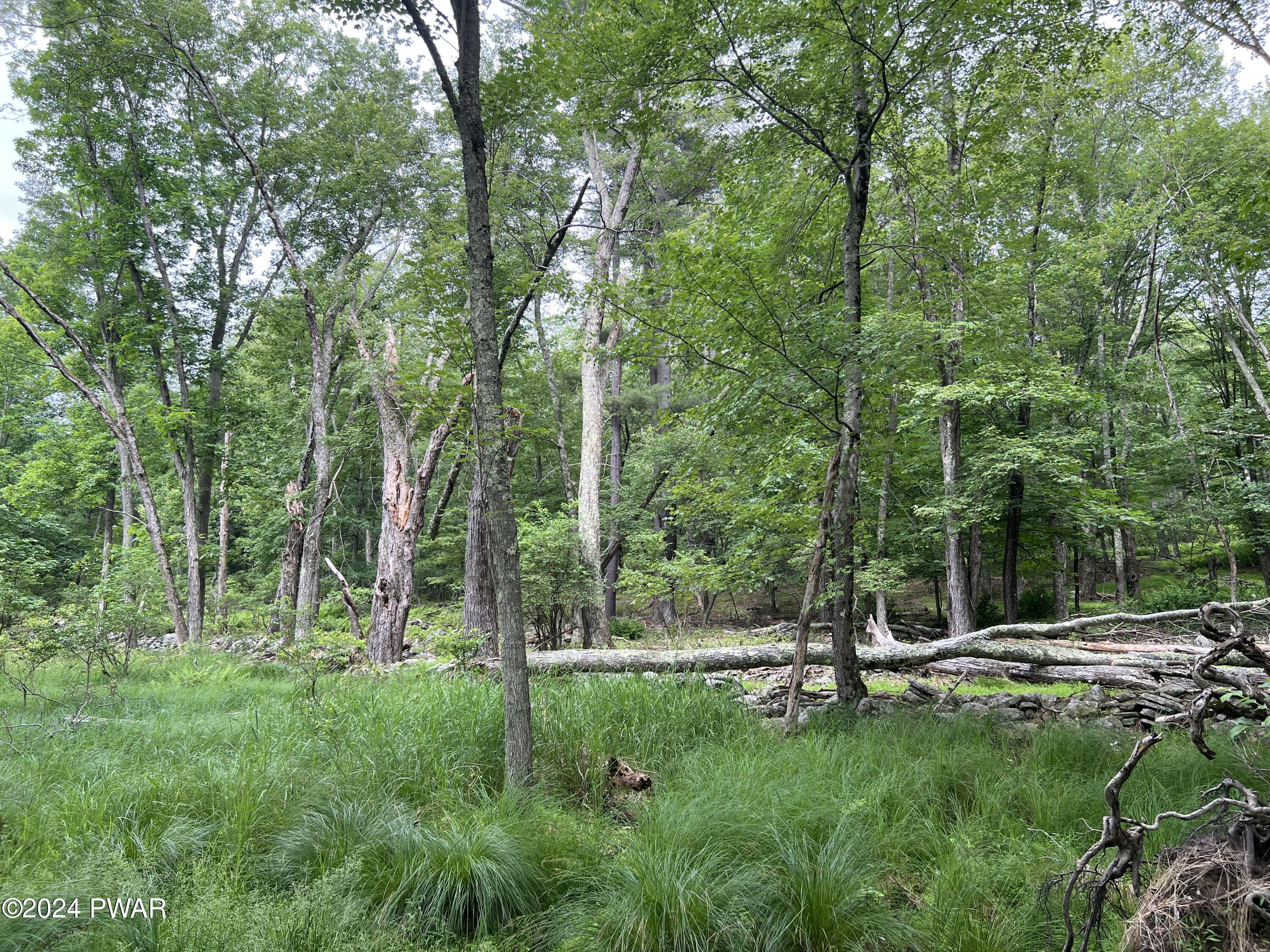 Westcolang Road, Lackawaxen, Pennsylvania image 29