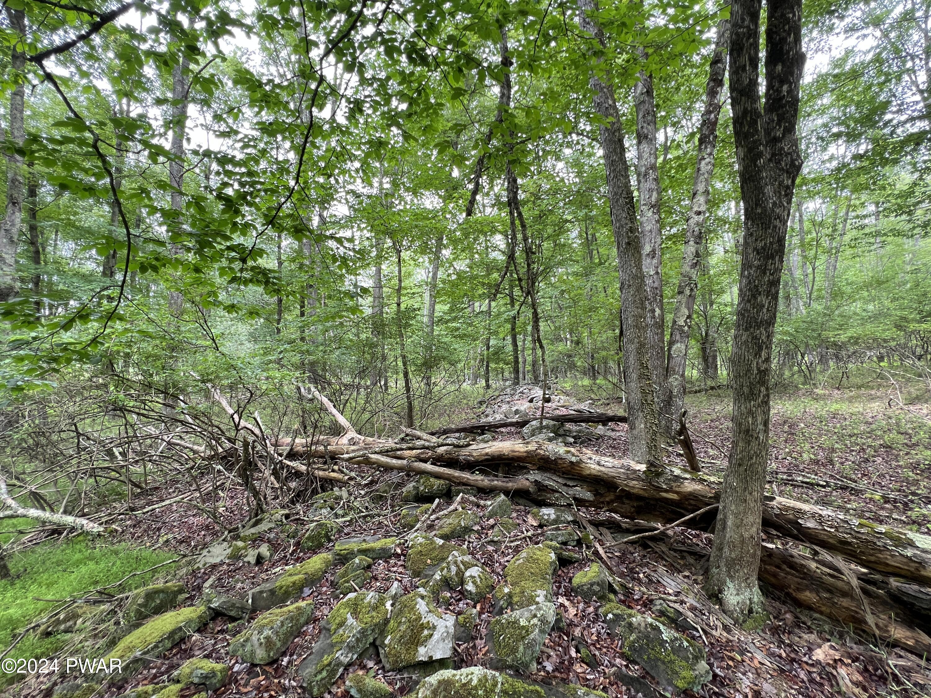 Westcolang Road, Lackawaxen, Pennsylvania image 19