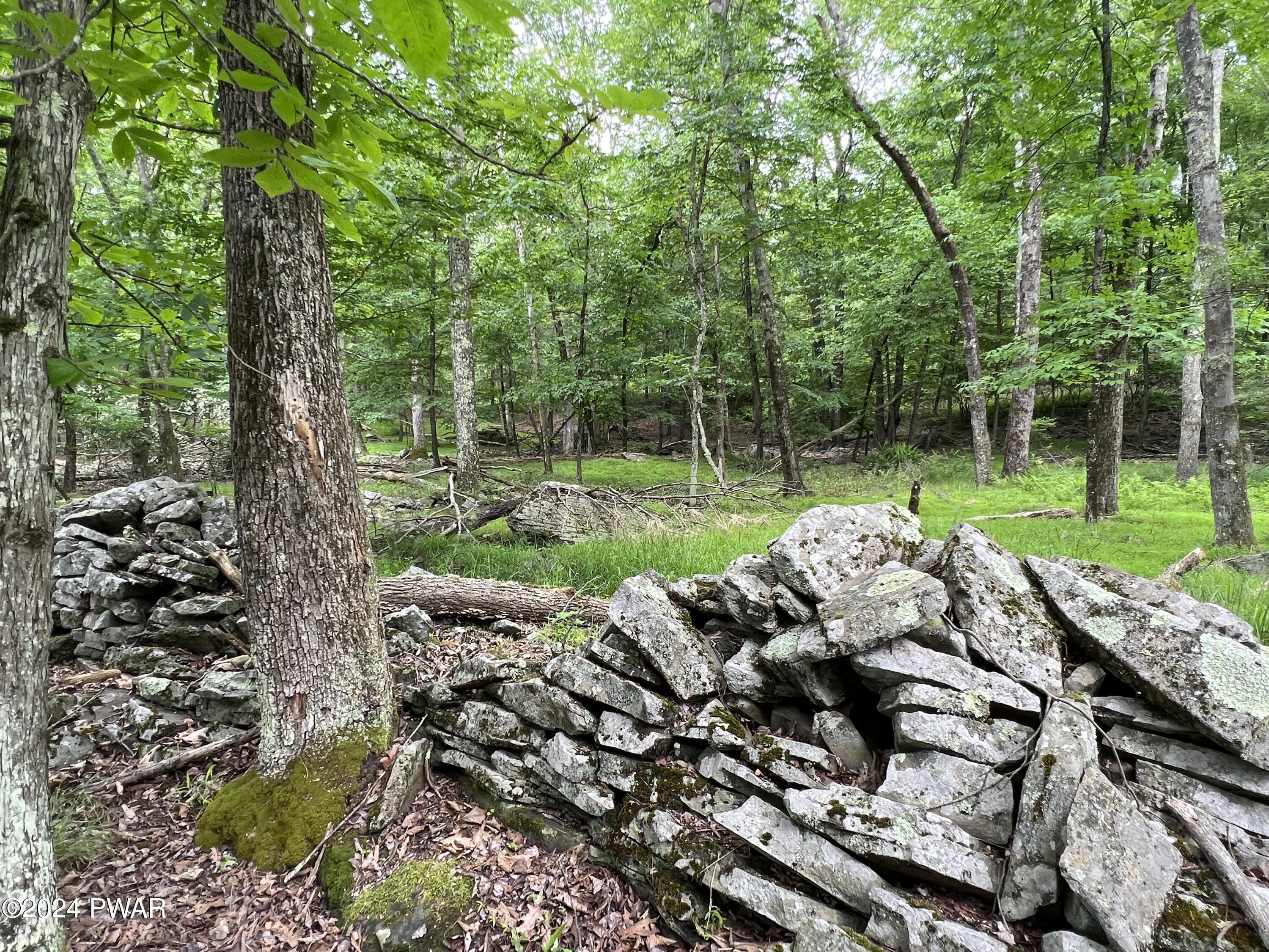 Westcolang Road, Lackawaxen, Pennsylvania image 31